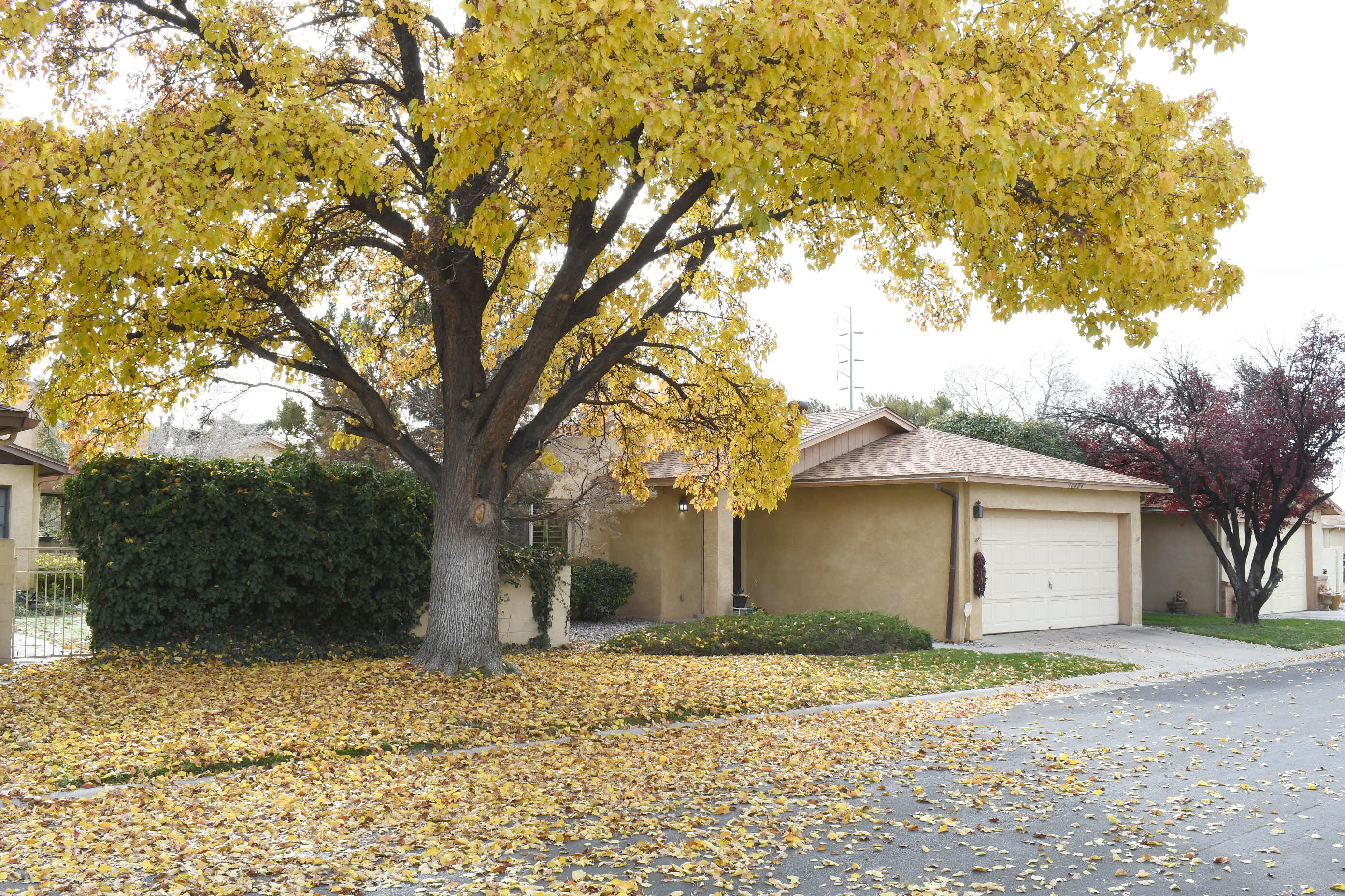 10404 SCHENLEY PARK Drive NE
