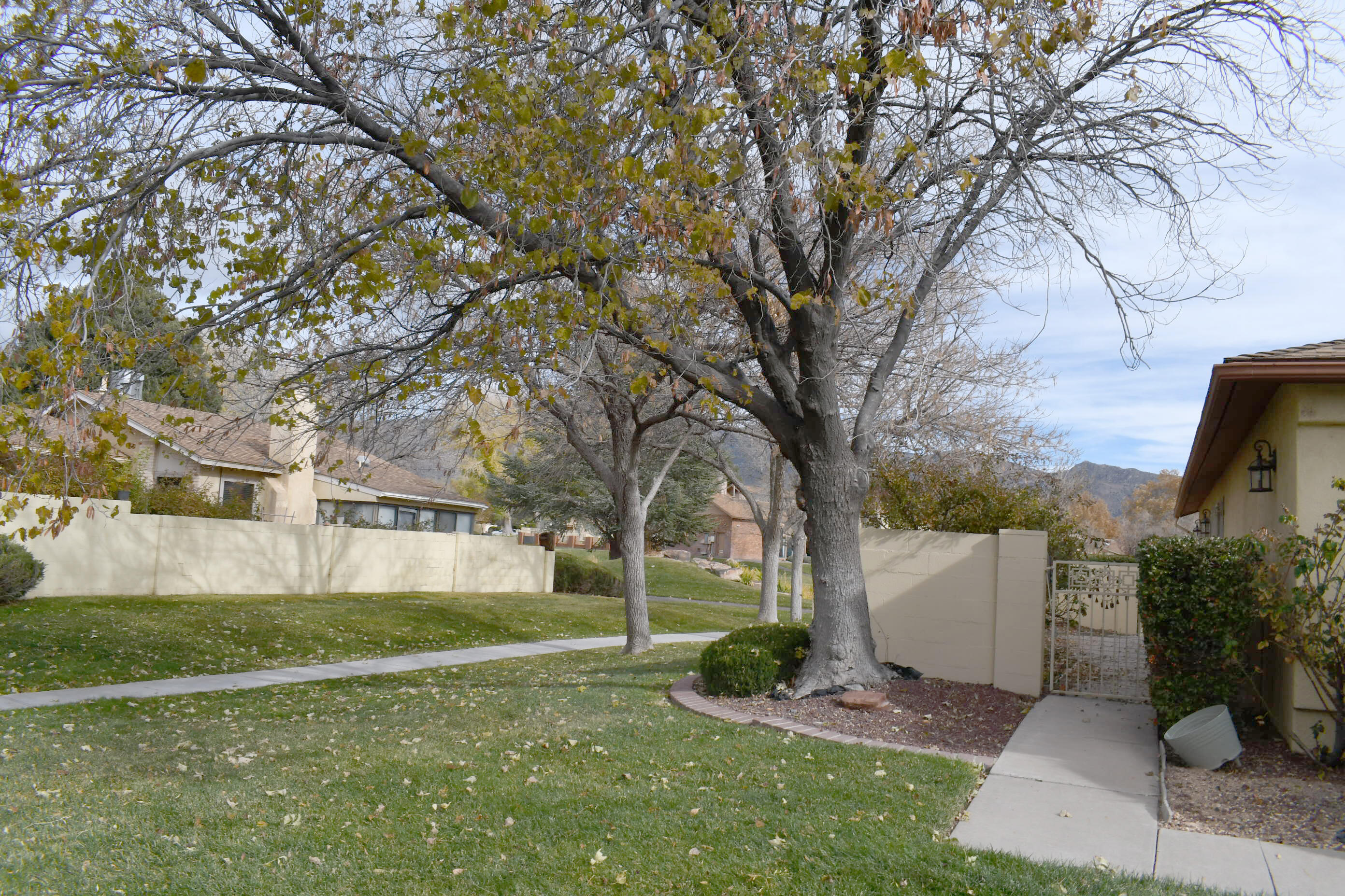 10404 SCHENLEY PARK Drive NE