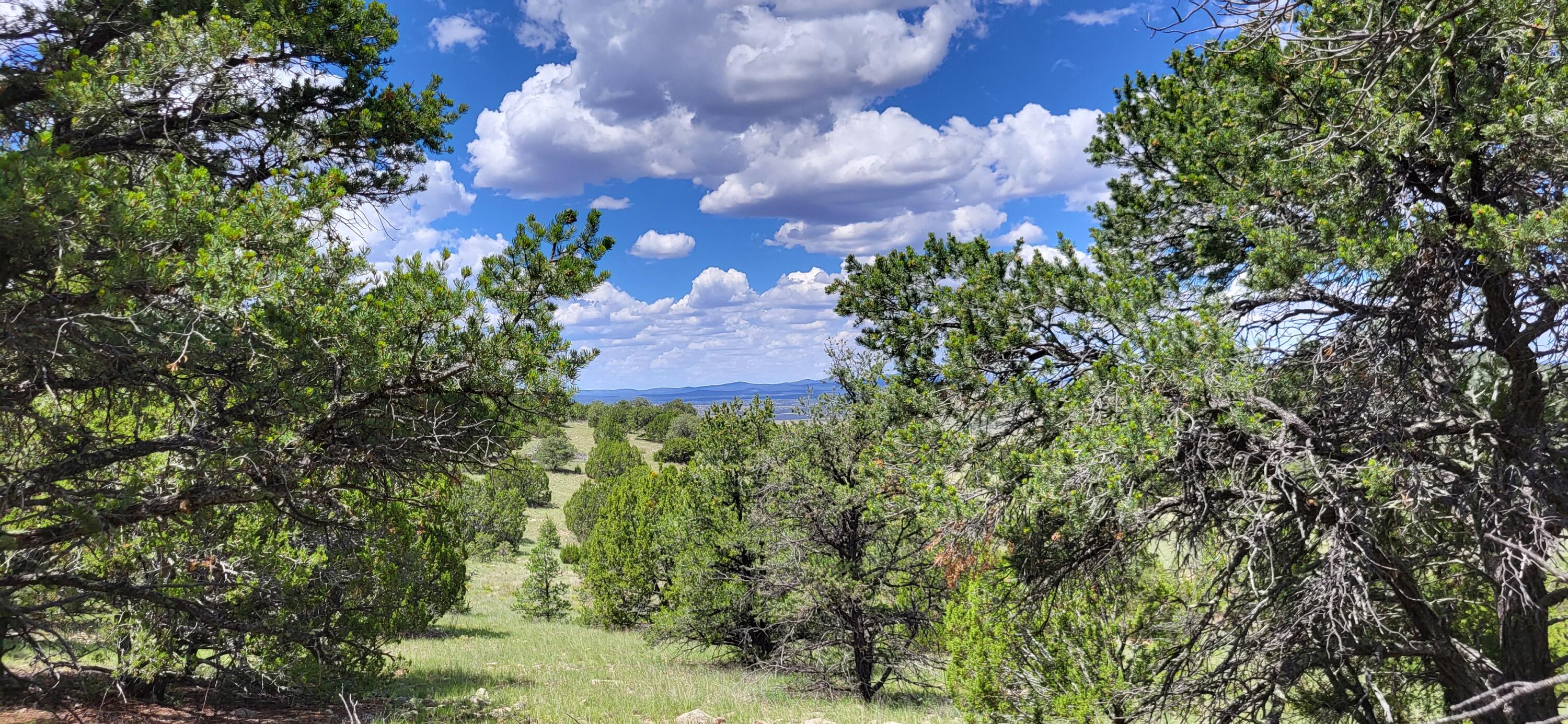 38.9 Acres Dark Canyon
