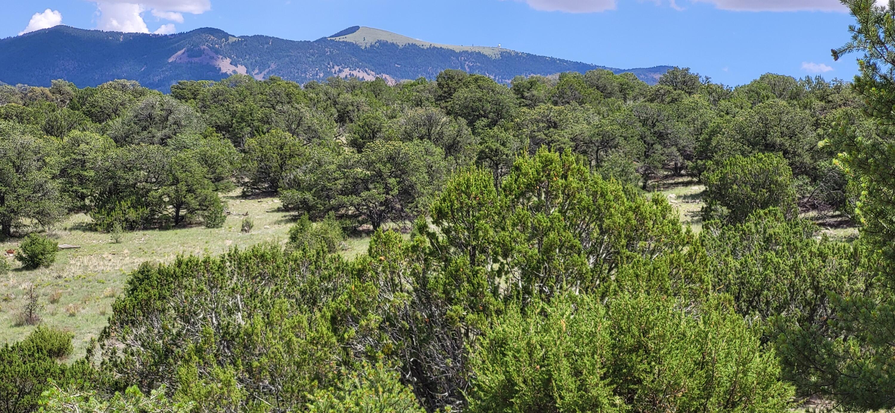 38.9 Acres Dark Canyon