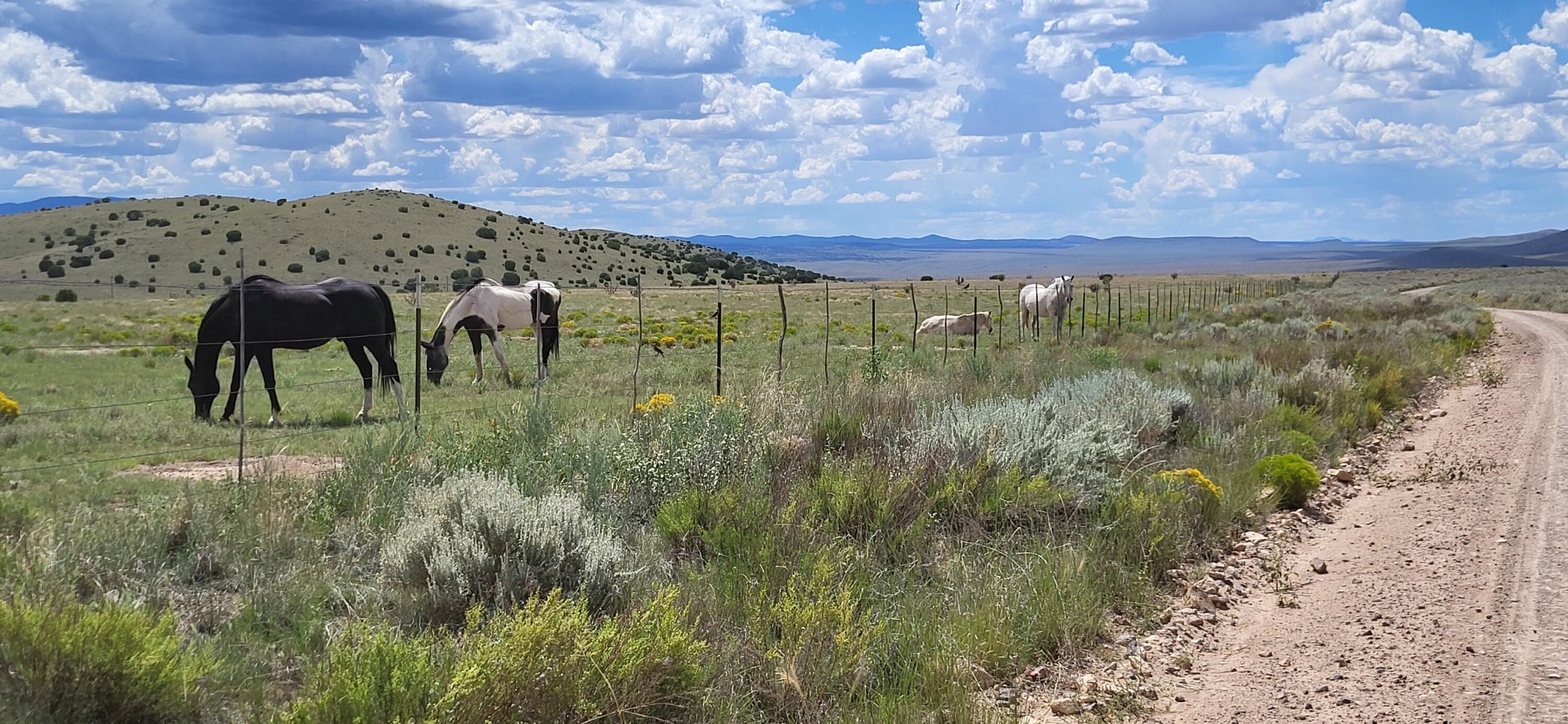 38.9 Acres Dark Canyon