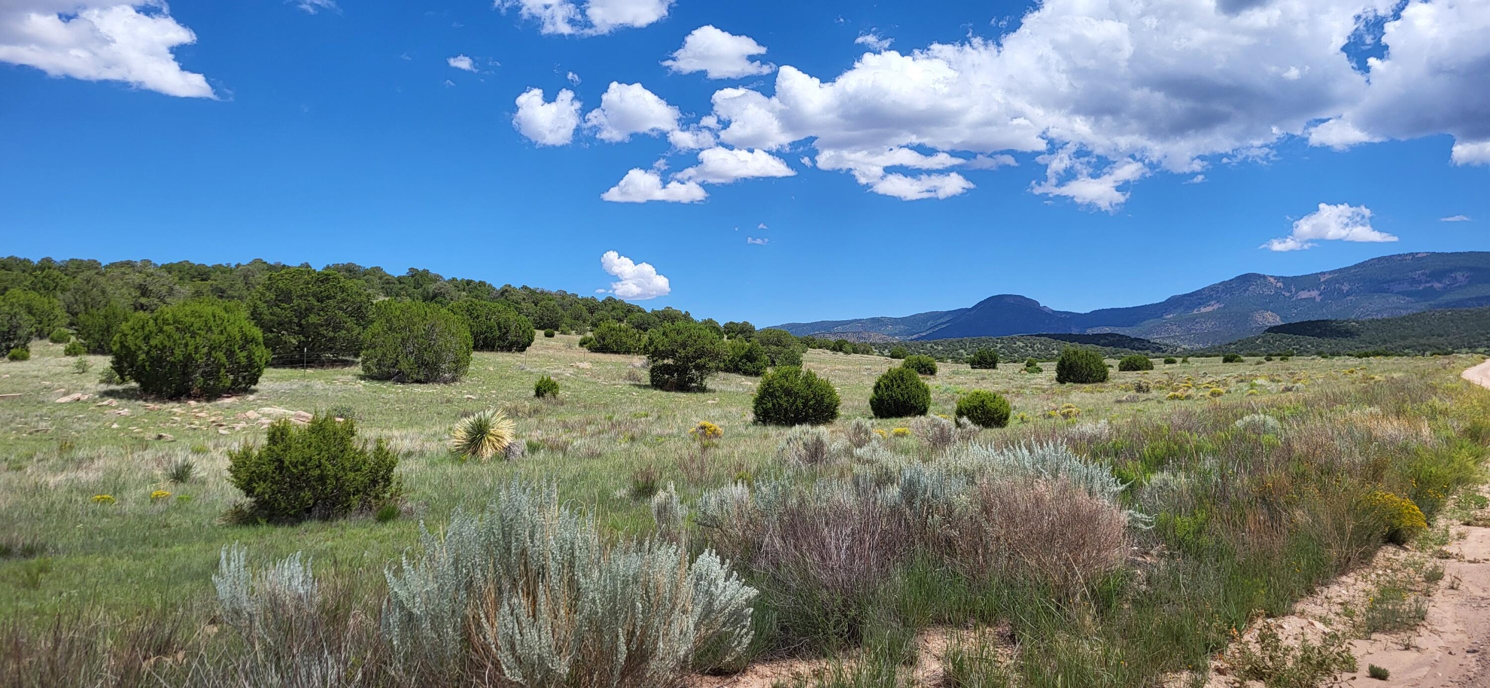 38.9 Acres Dark Canyon