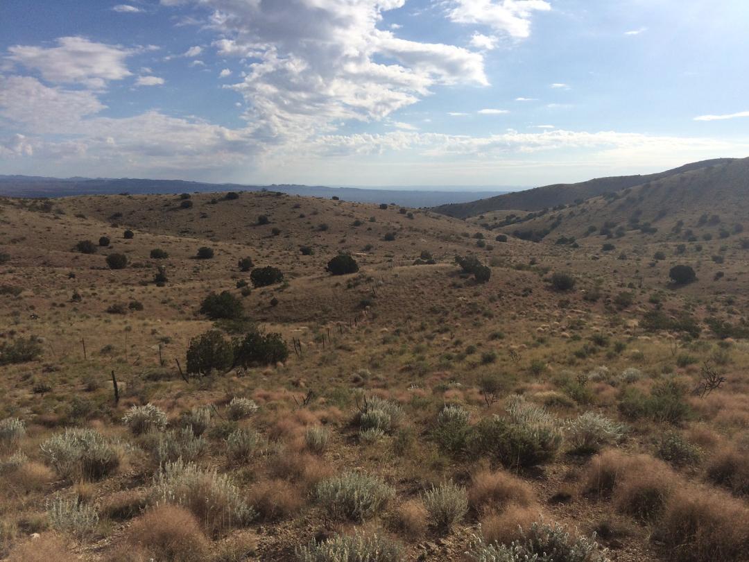 Lot 4-4 Highland Springs Ranch