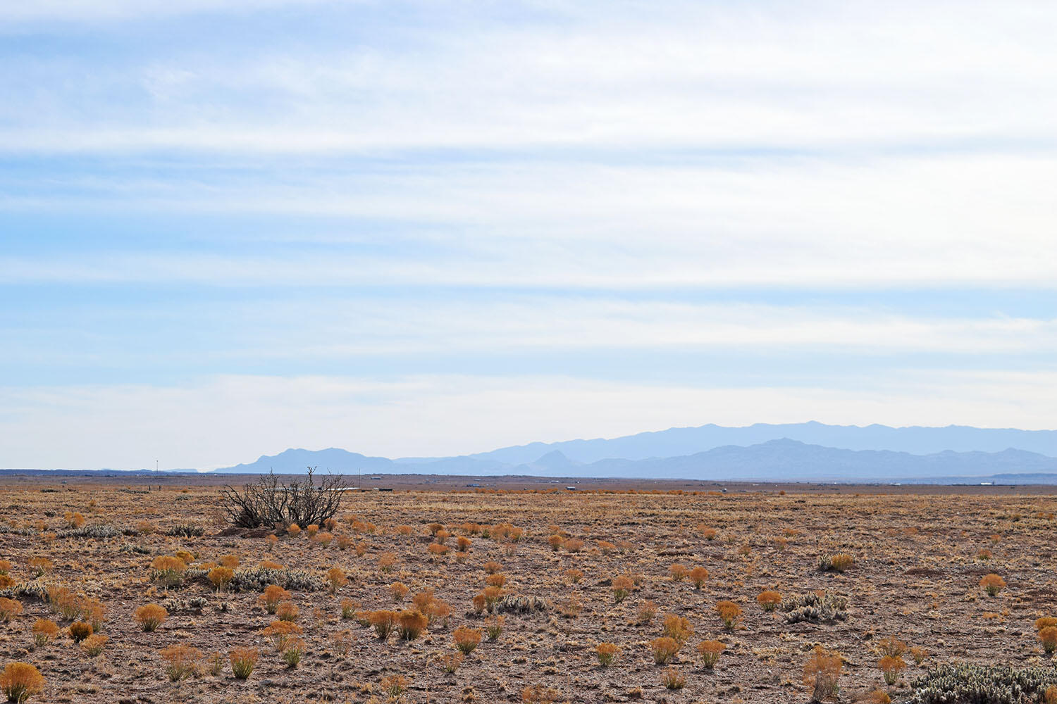 Lot 19 Rosalia Avenue