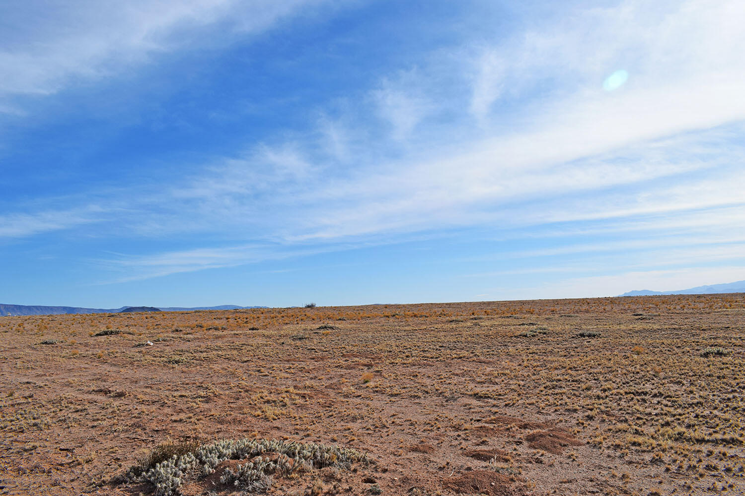 Lot 19 Rosalia Avenue