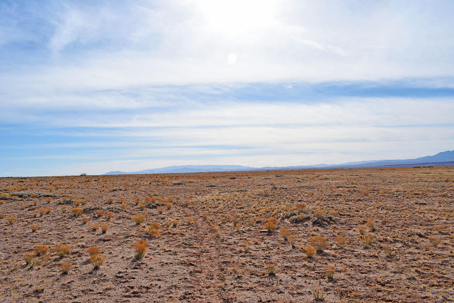 Lot 19 Rosalia Avenue