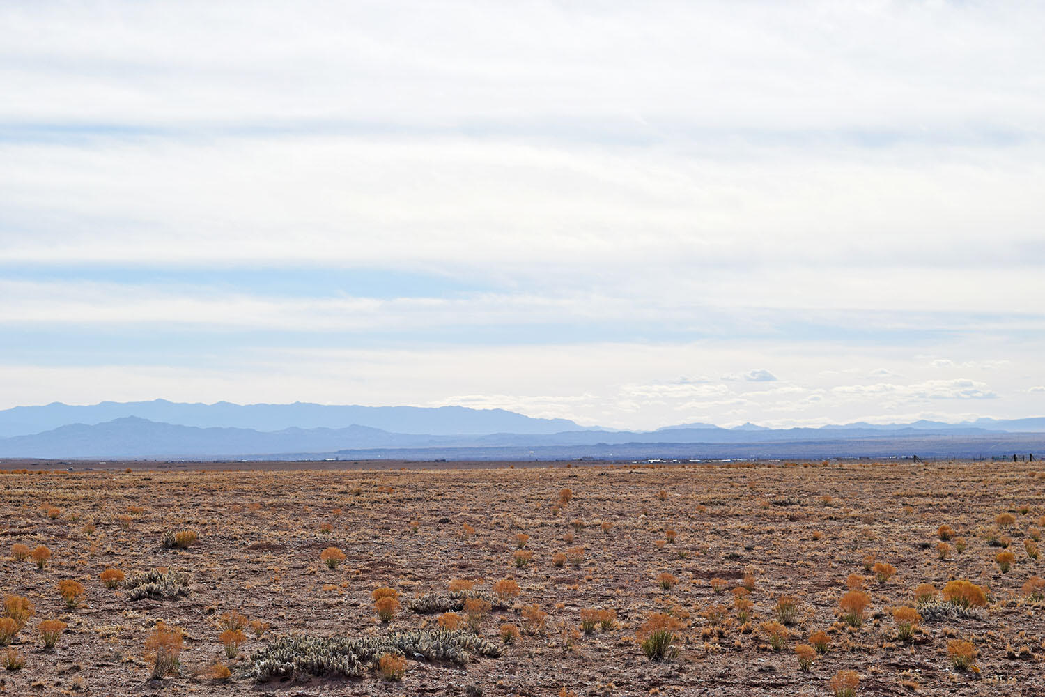 Lot 19 Rosalia Avenue