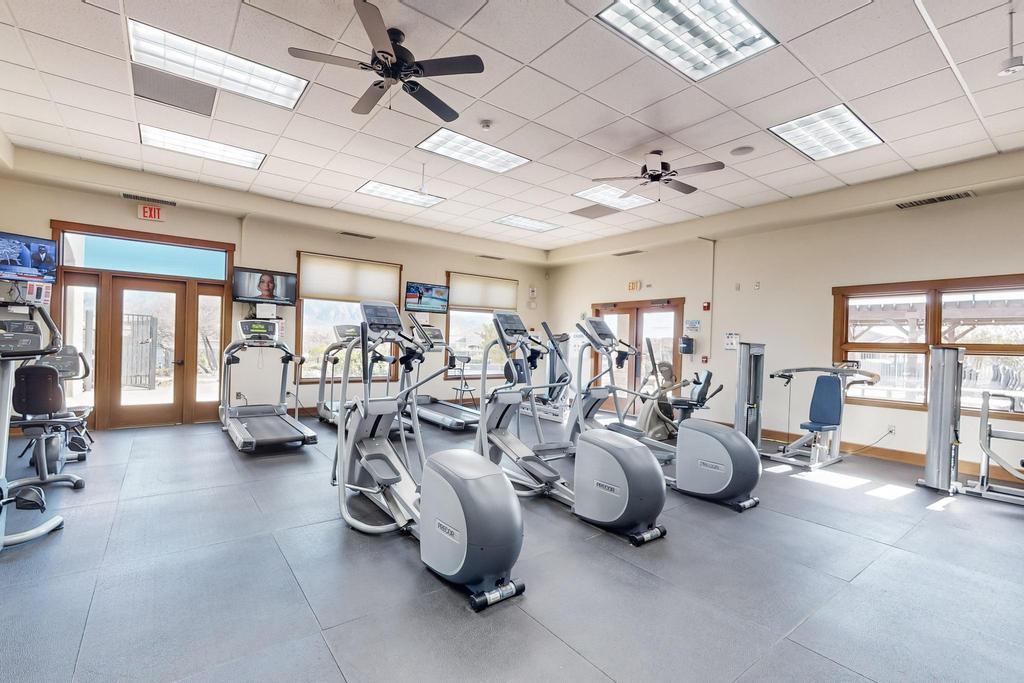 824 GOLDEN YARROW Trail