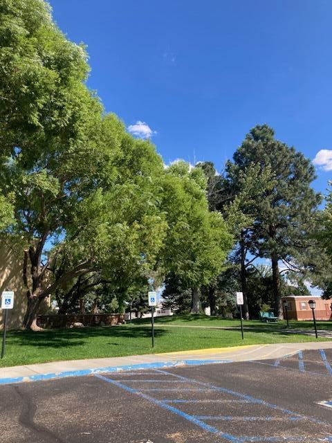 7112 PAN AMERICAN FWY NE 100