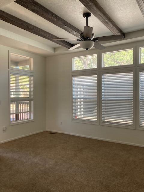 7112 PAN AMERICAN FWY NE 100