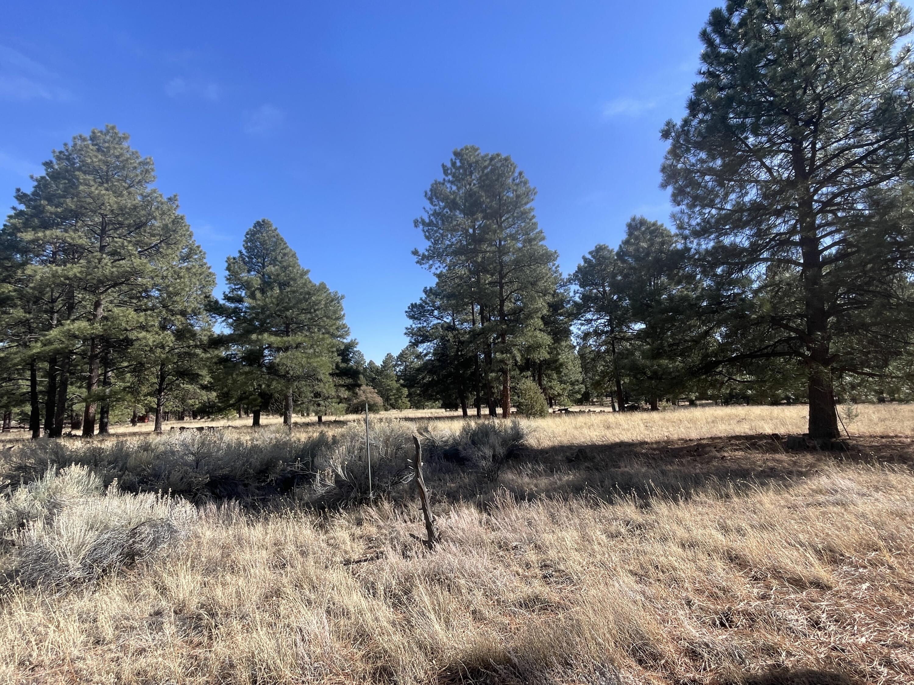 98 Elk Springs Loop