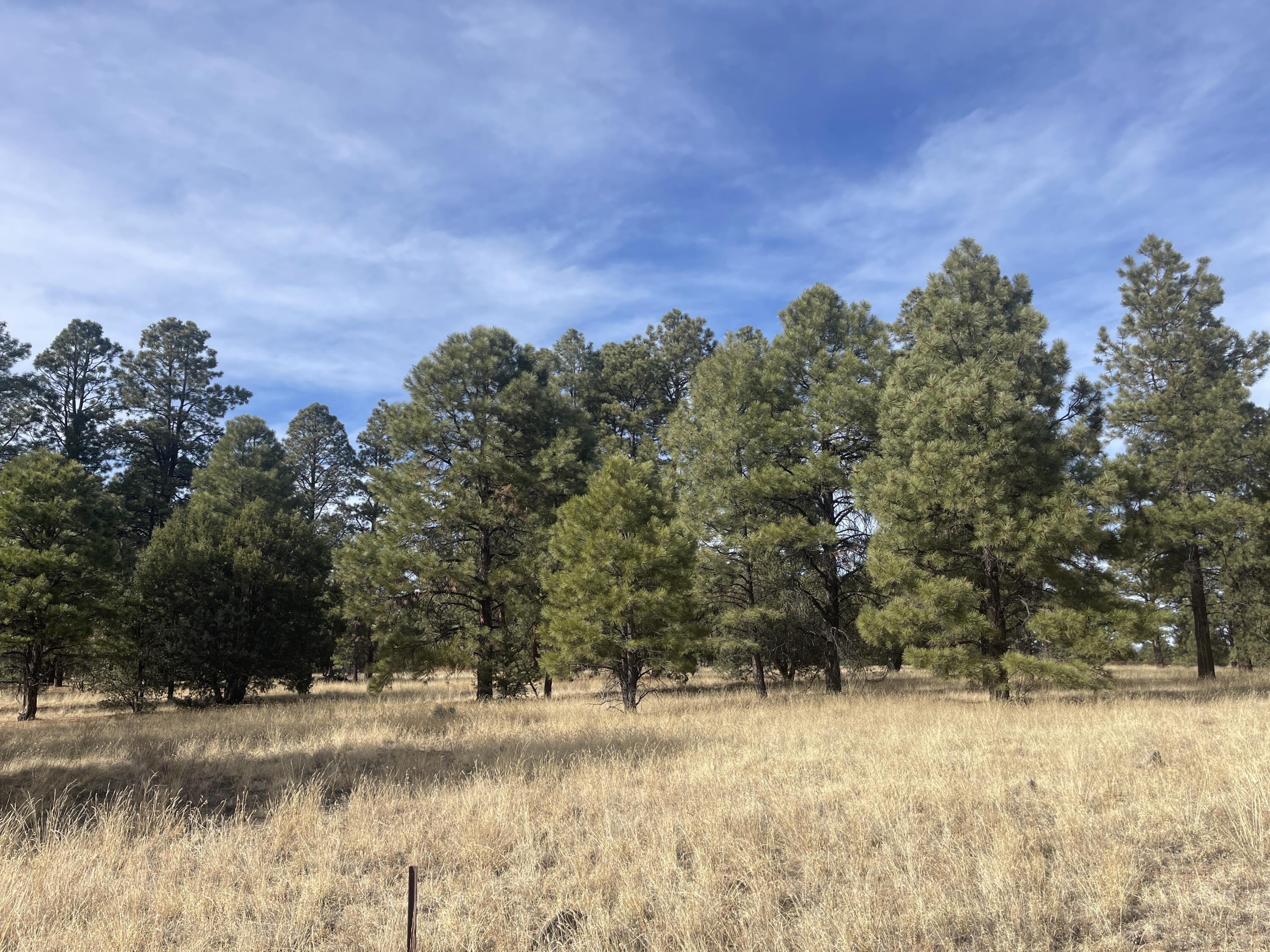 98 Elk Springs Loop