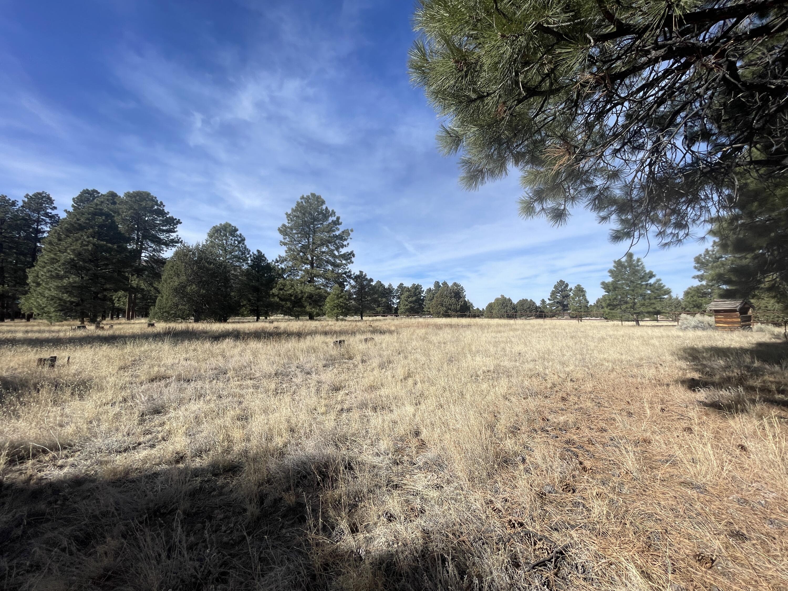 98 Elk Springs Loop