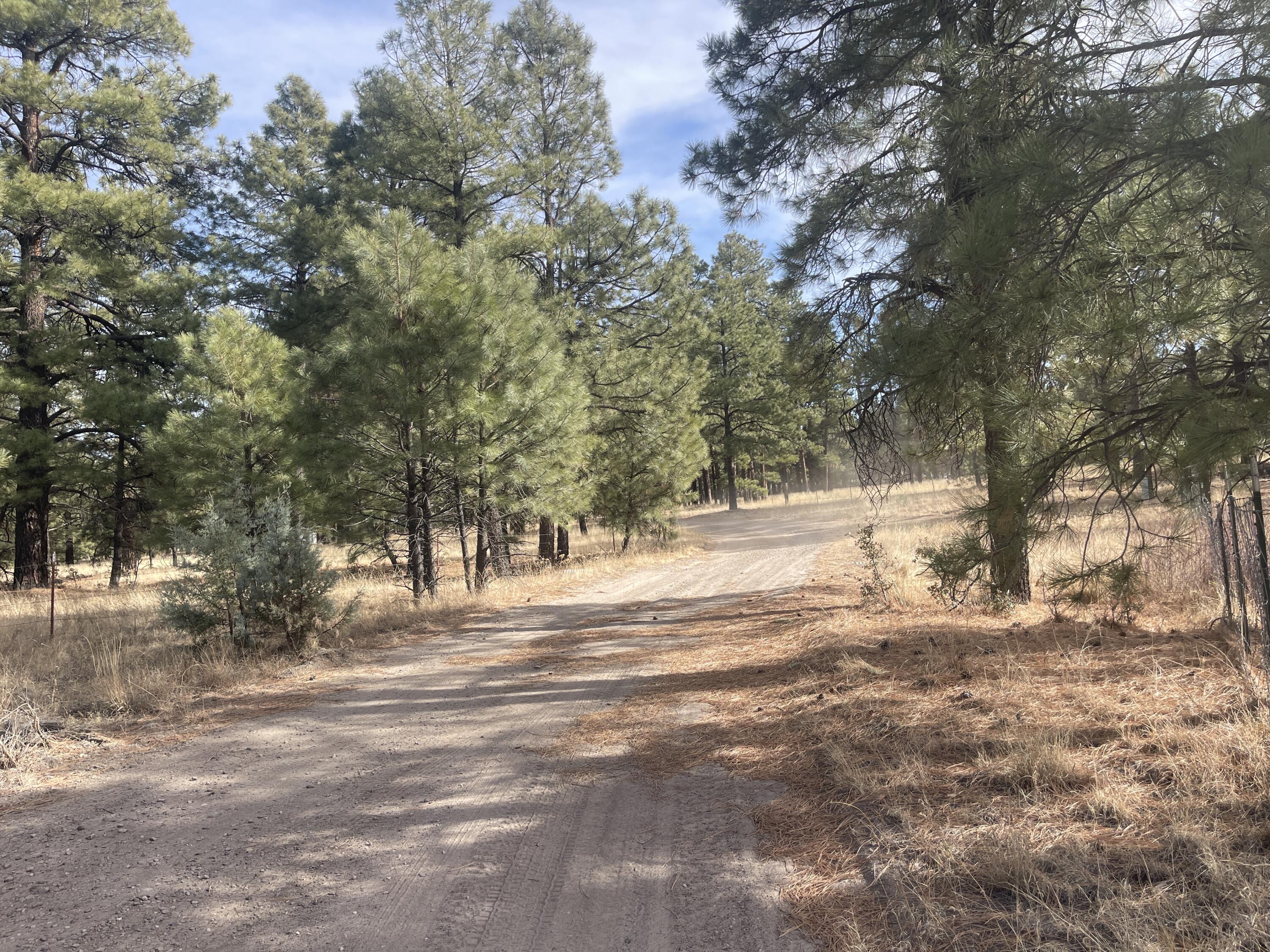 98 Elk Springs Loop