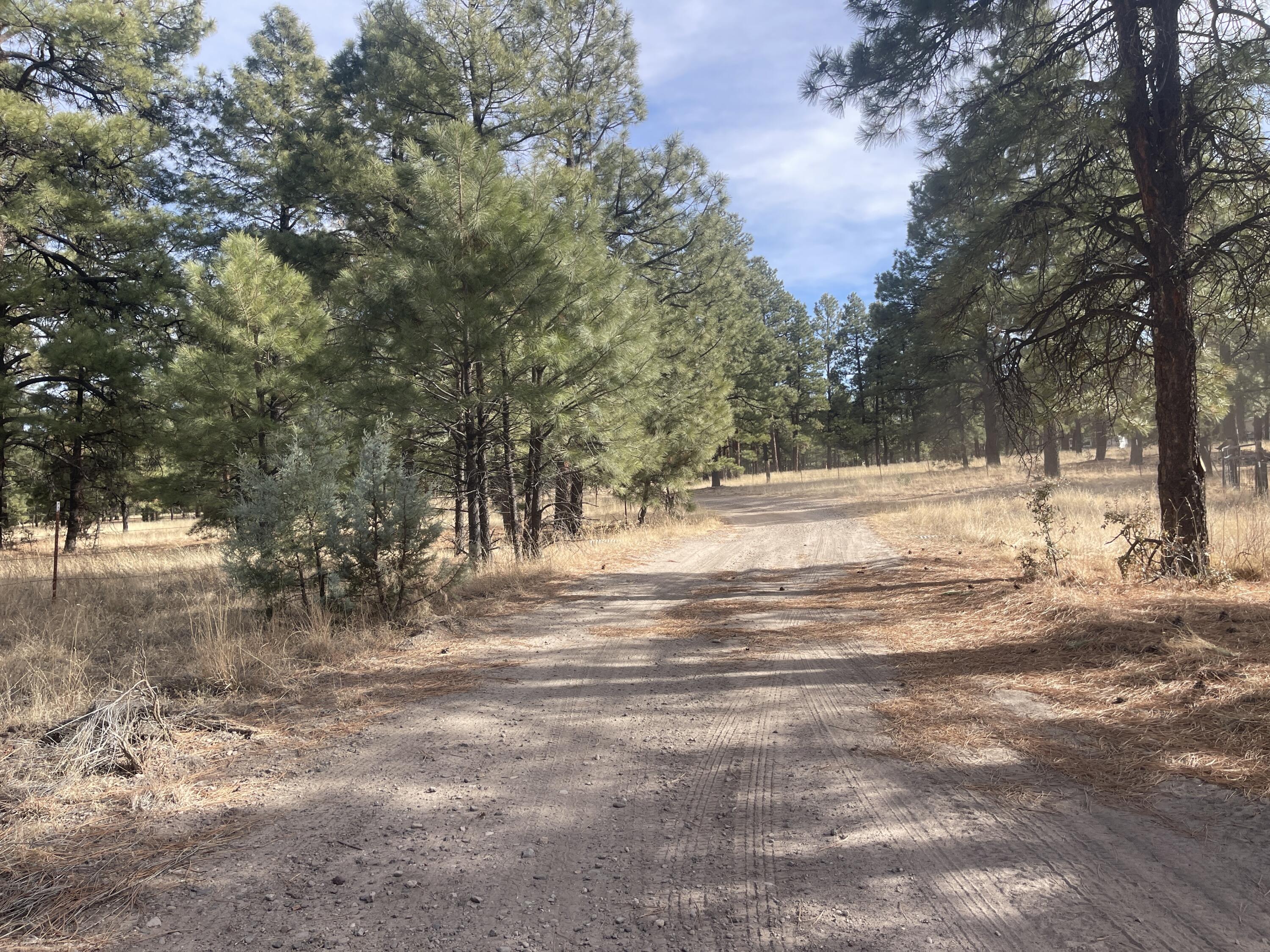 98 Elk Springs Loop