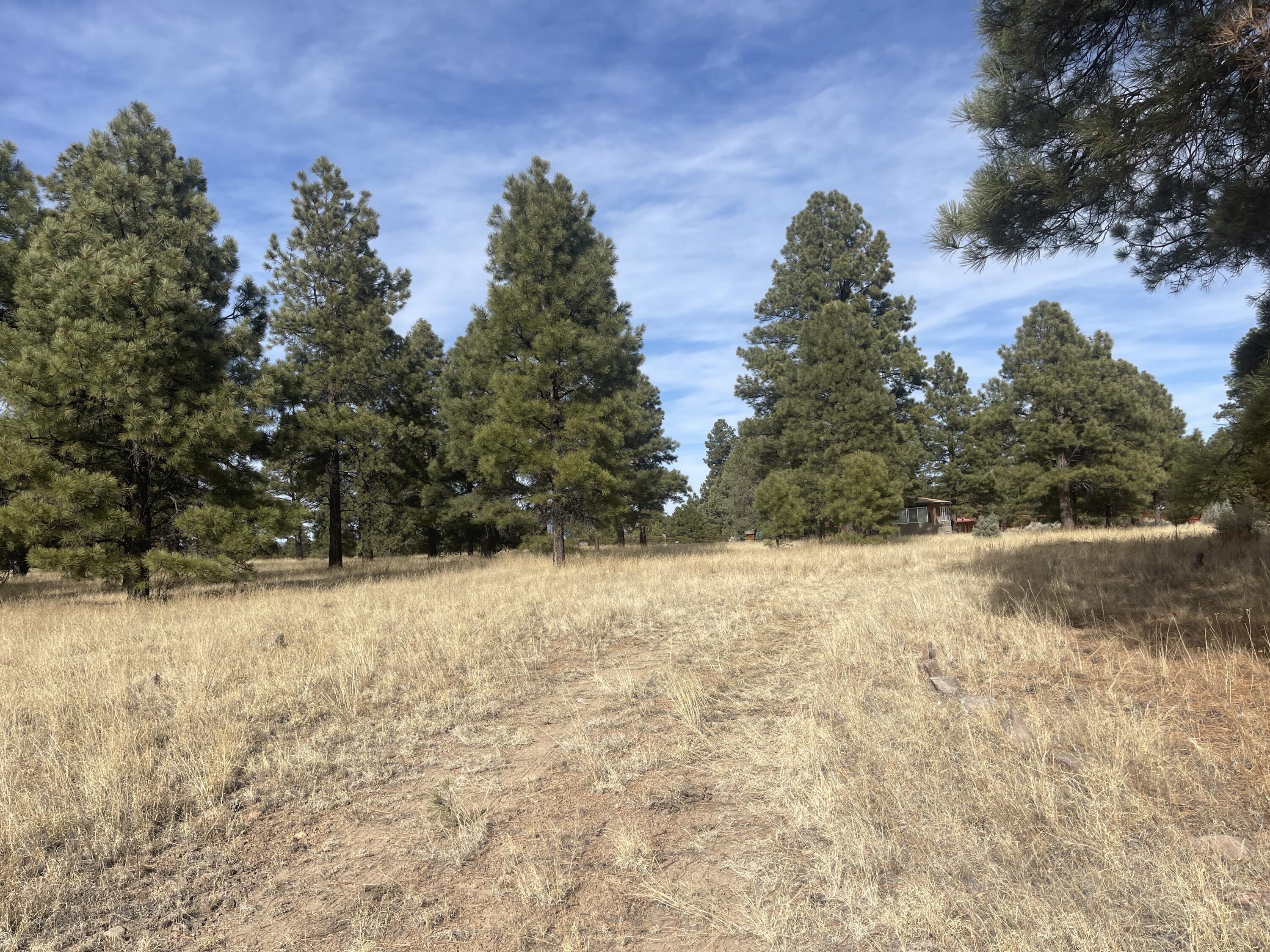 98 Elk Springs Loop