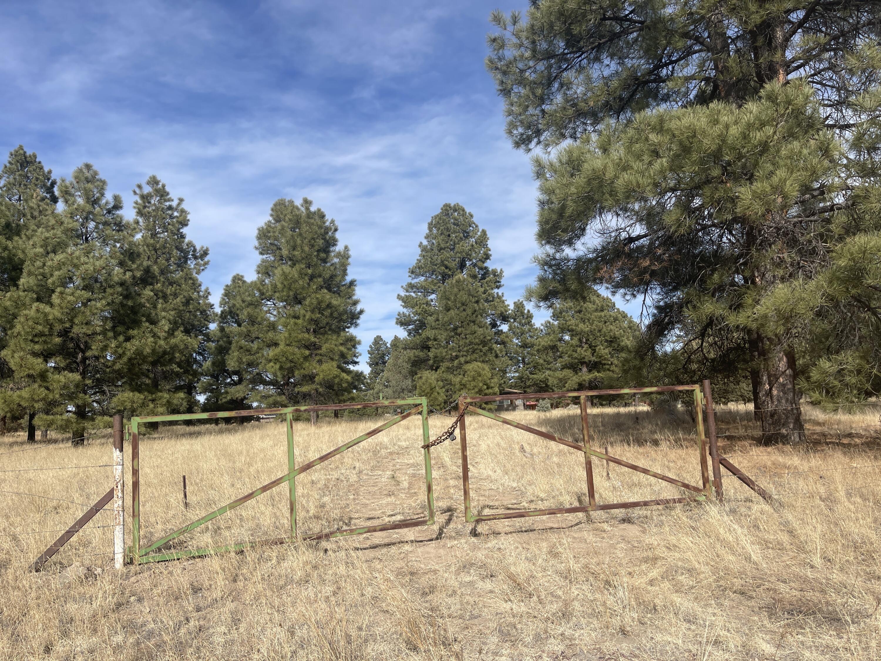 98 Elk Springs Loop