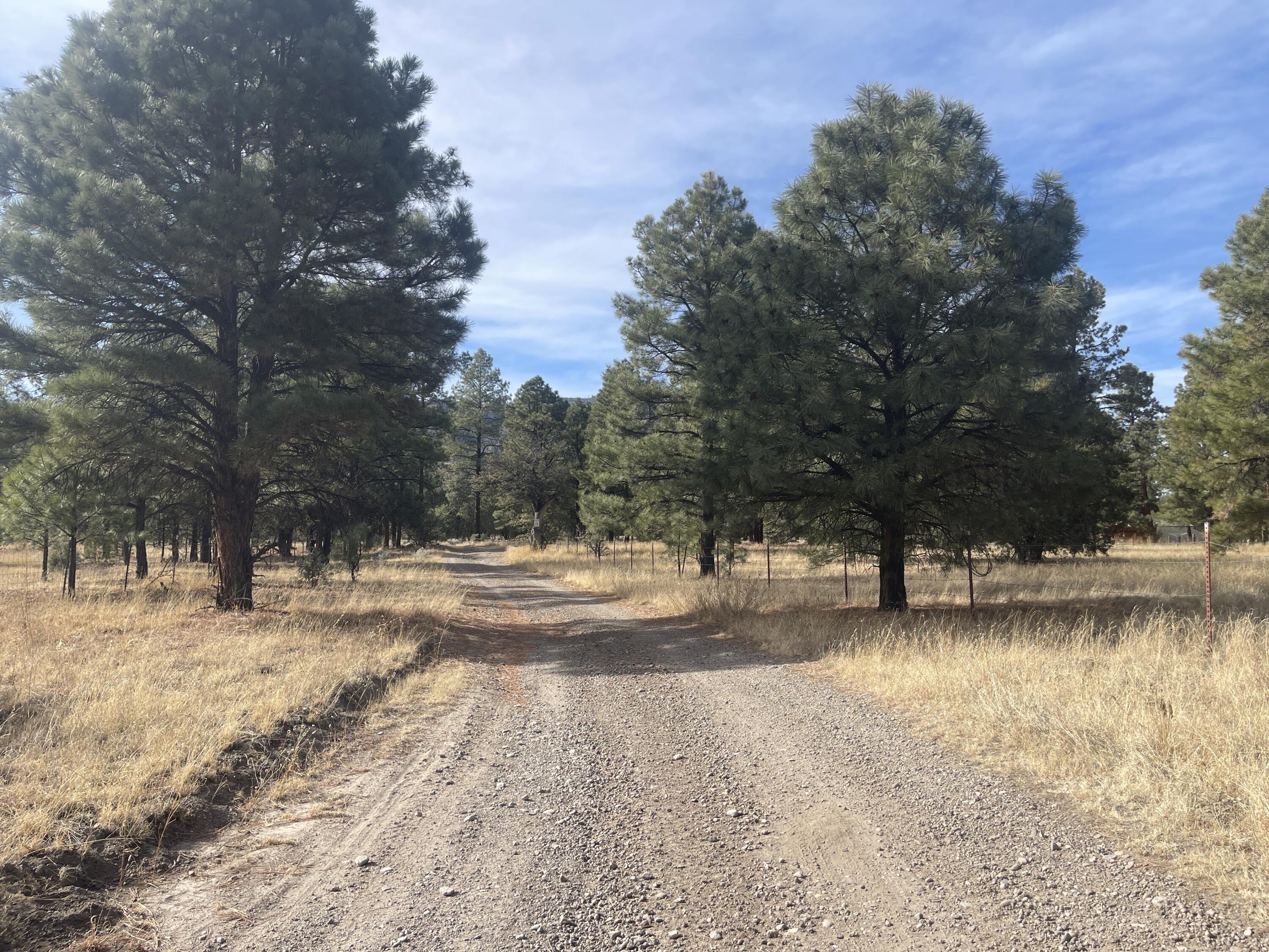 98 Elk Springs Loop