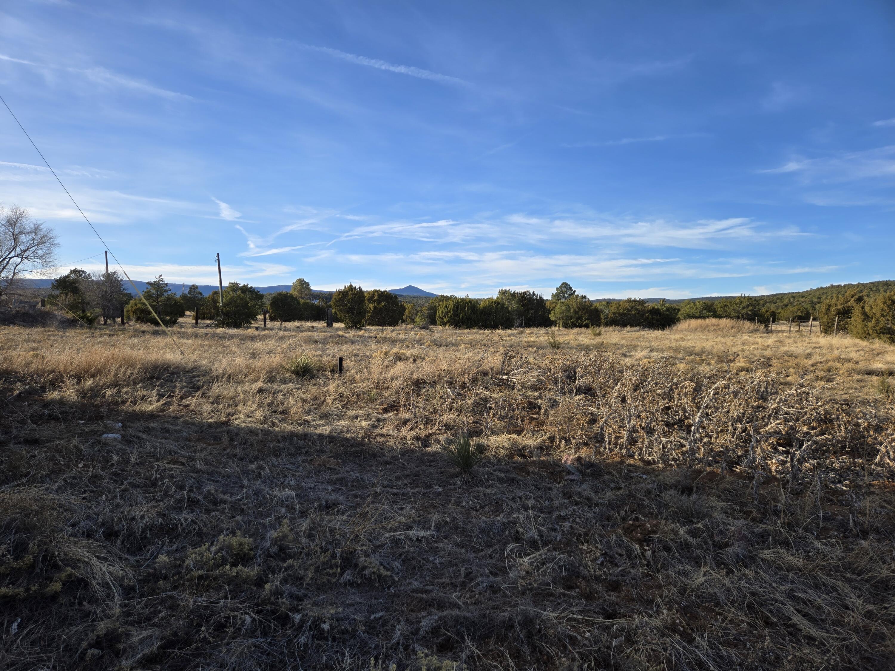 8604 State Highway 55