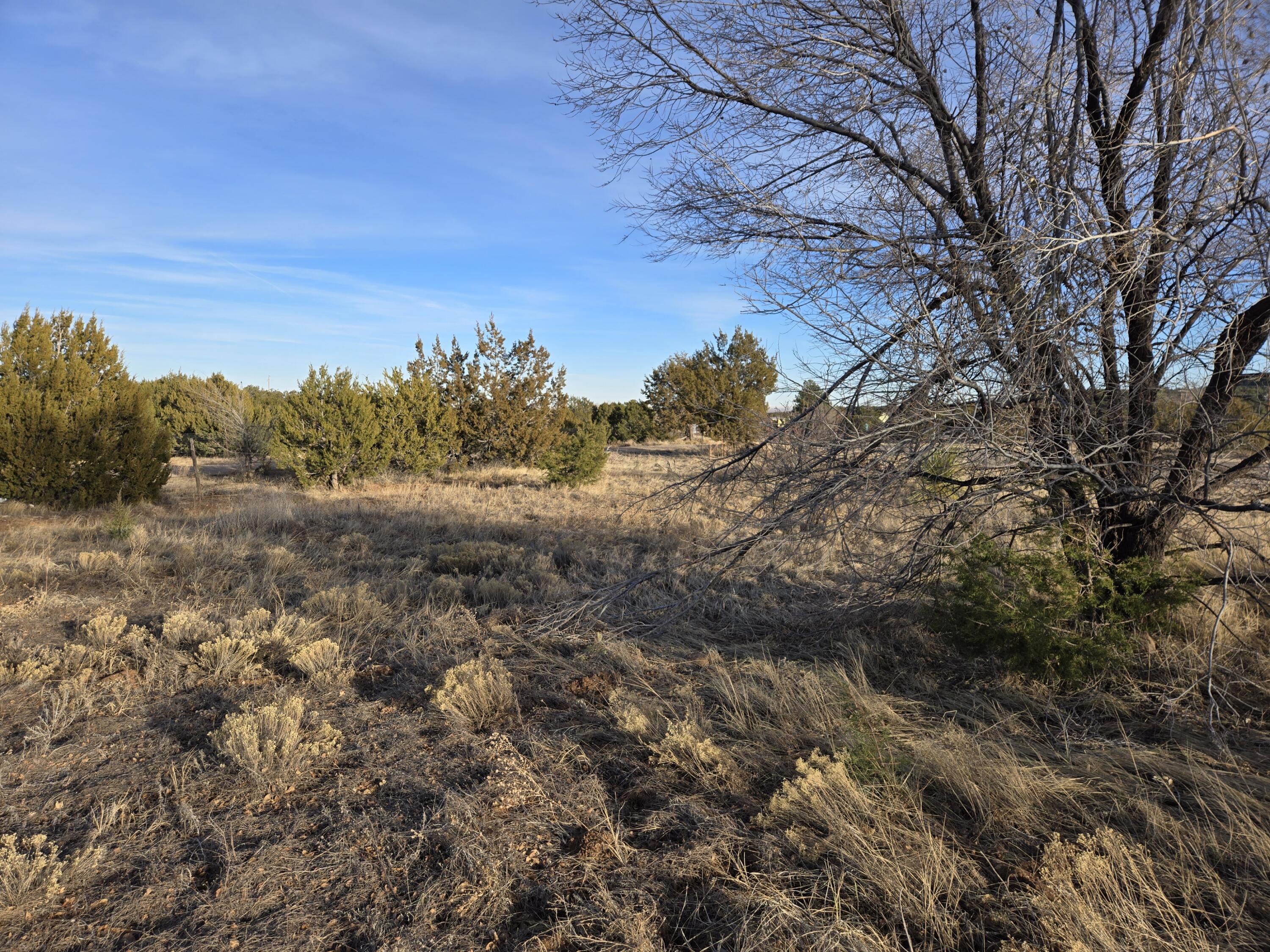 8604 State Highway 55