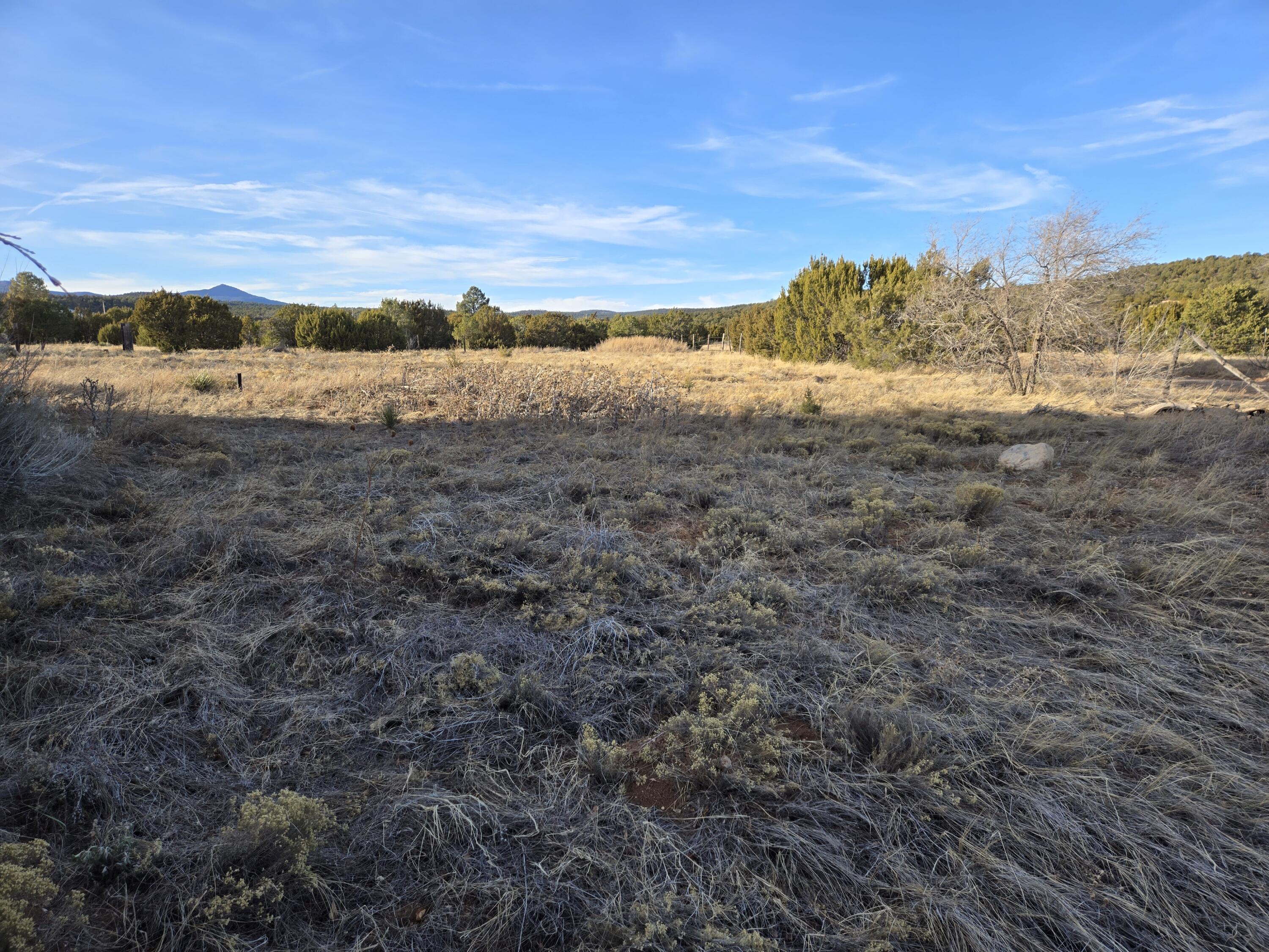 8604 State Highway 55