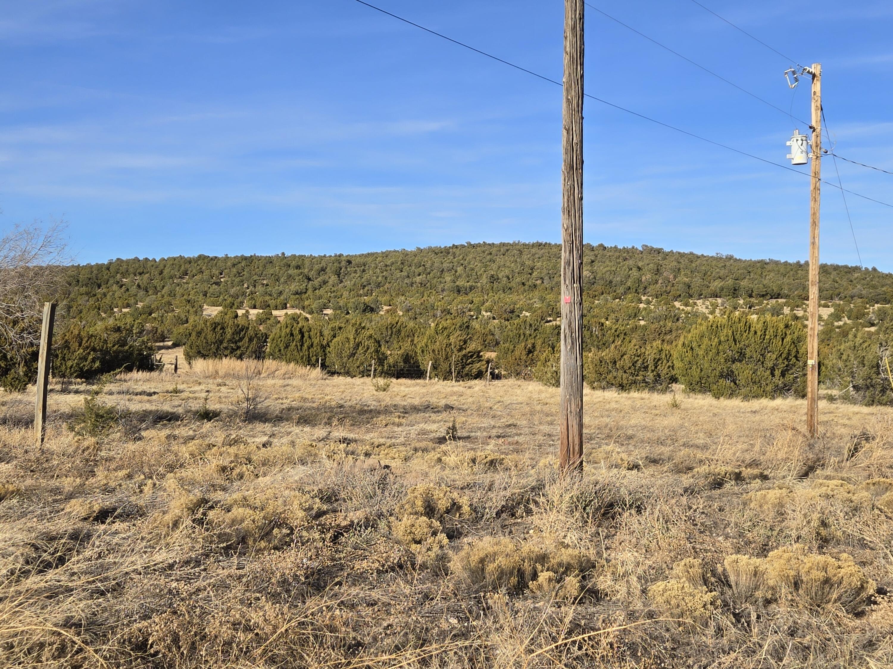 8604 State Highway 55