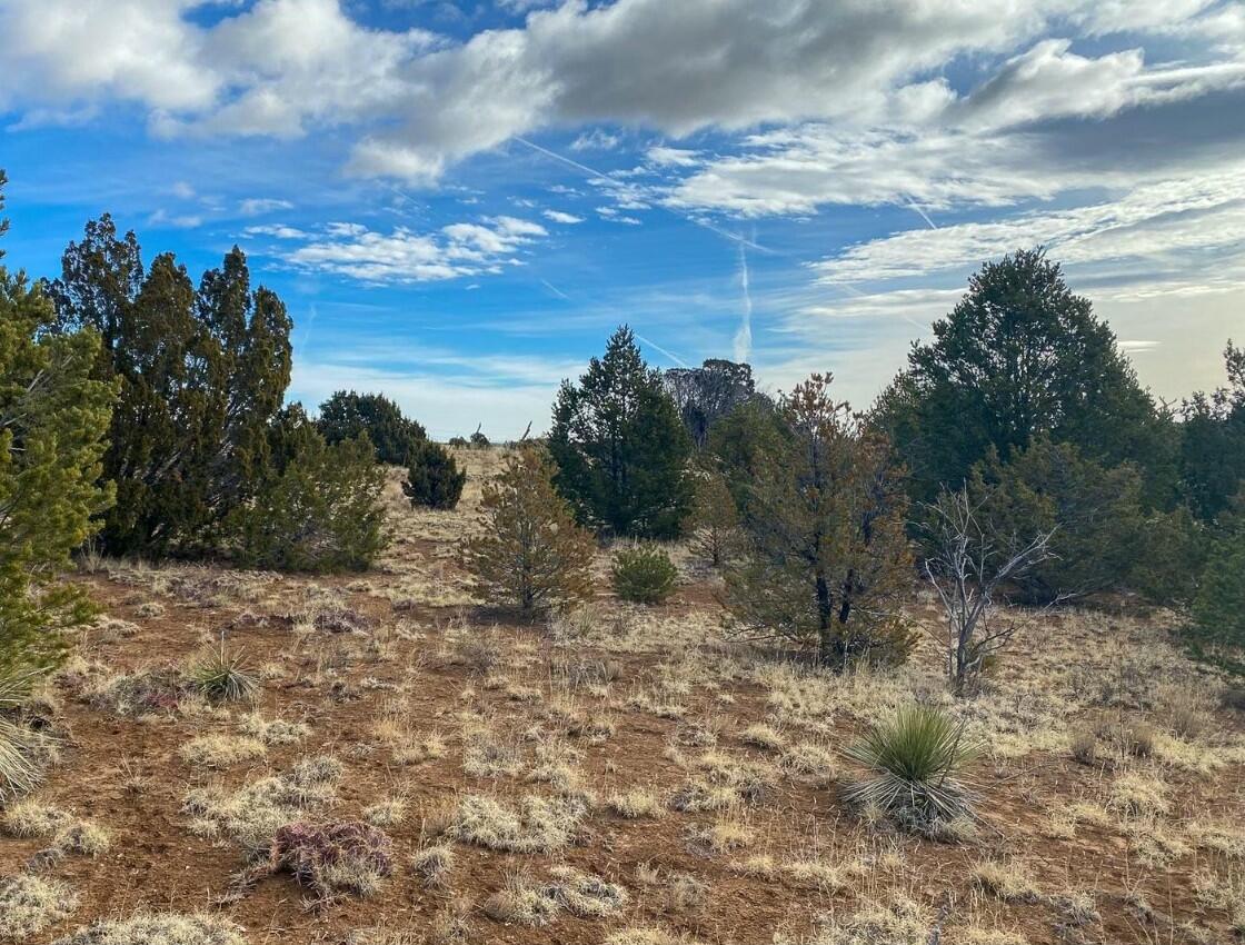 230 MORA Road