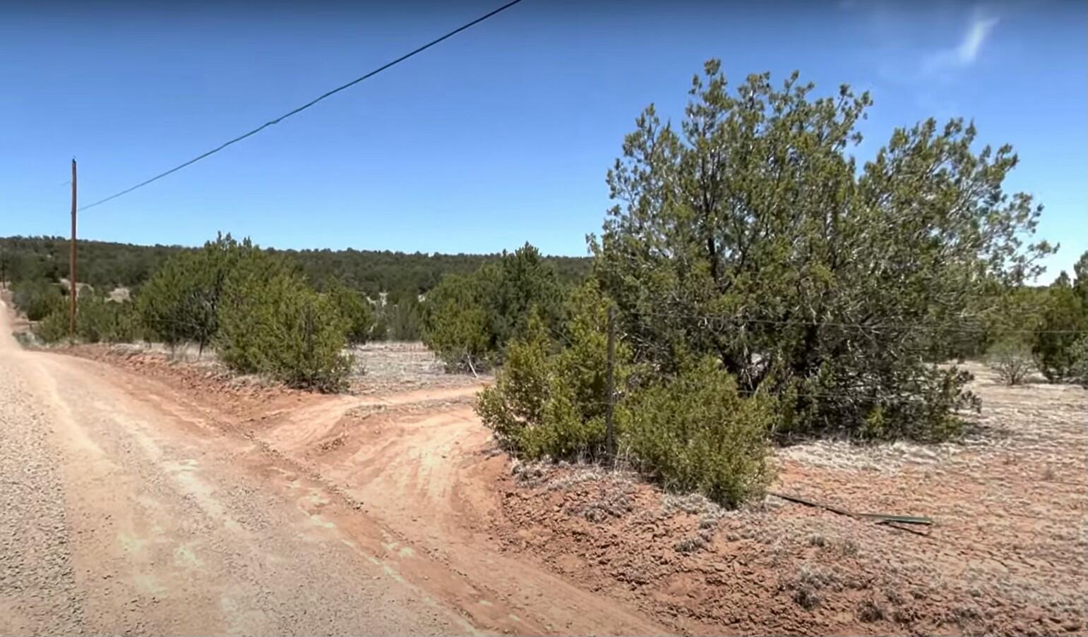 230 MORA Road