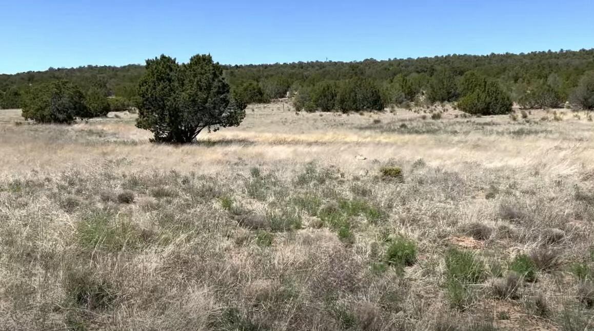 230 MORA Road