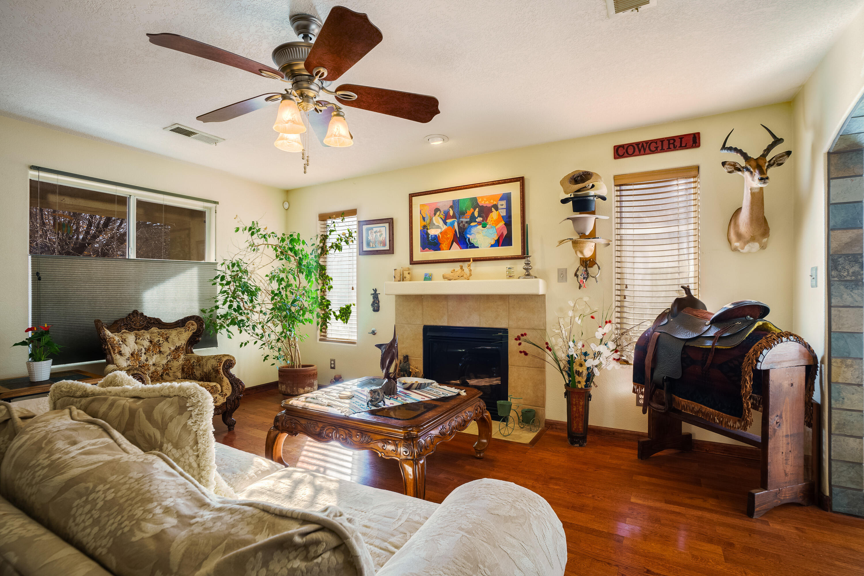 3605 Cameo Drive