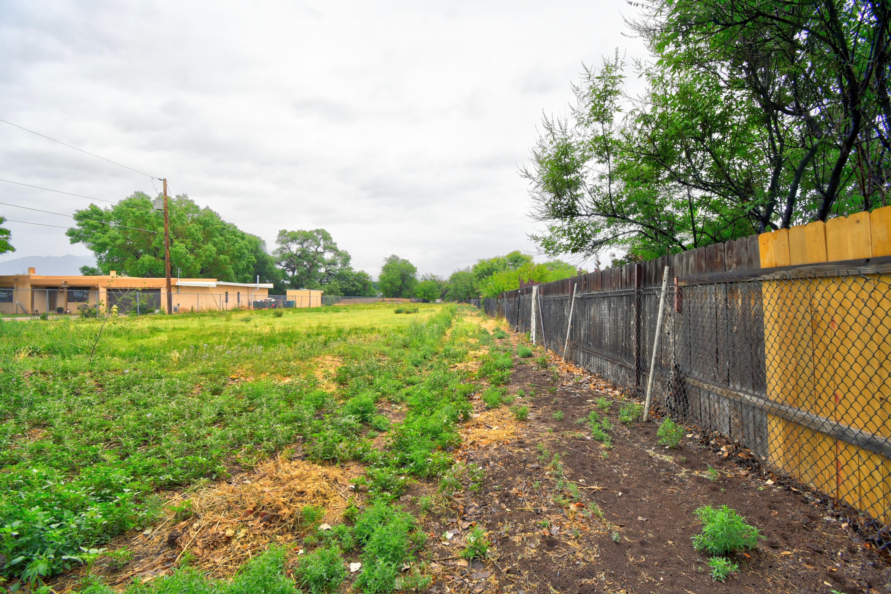 10116 1/2 2nd Street NW