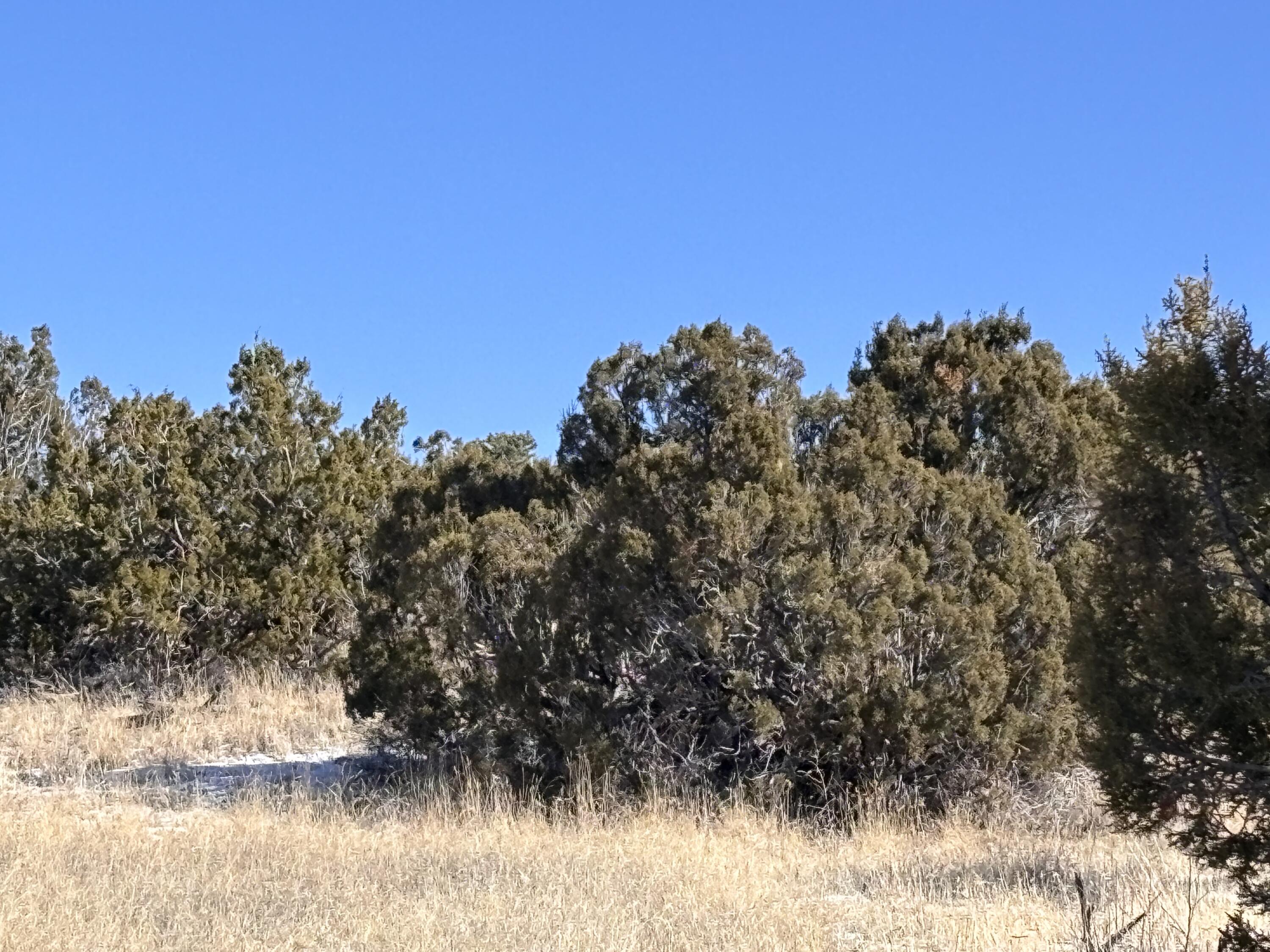 48 Pinon Springs