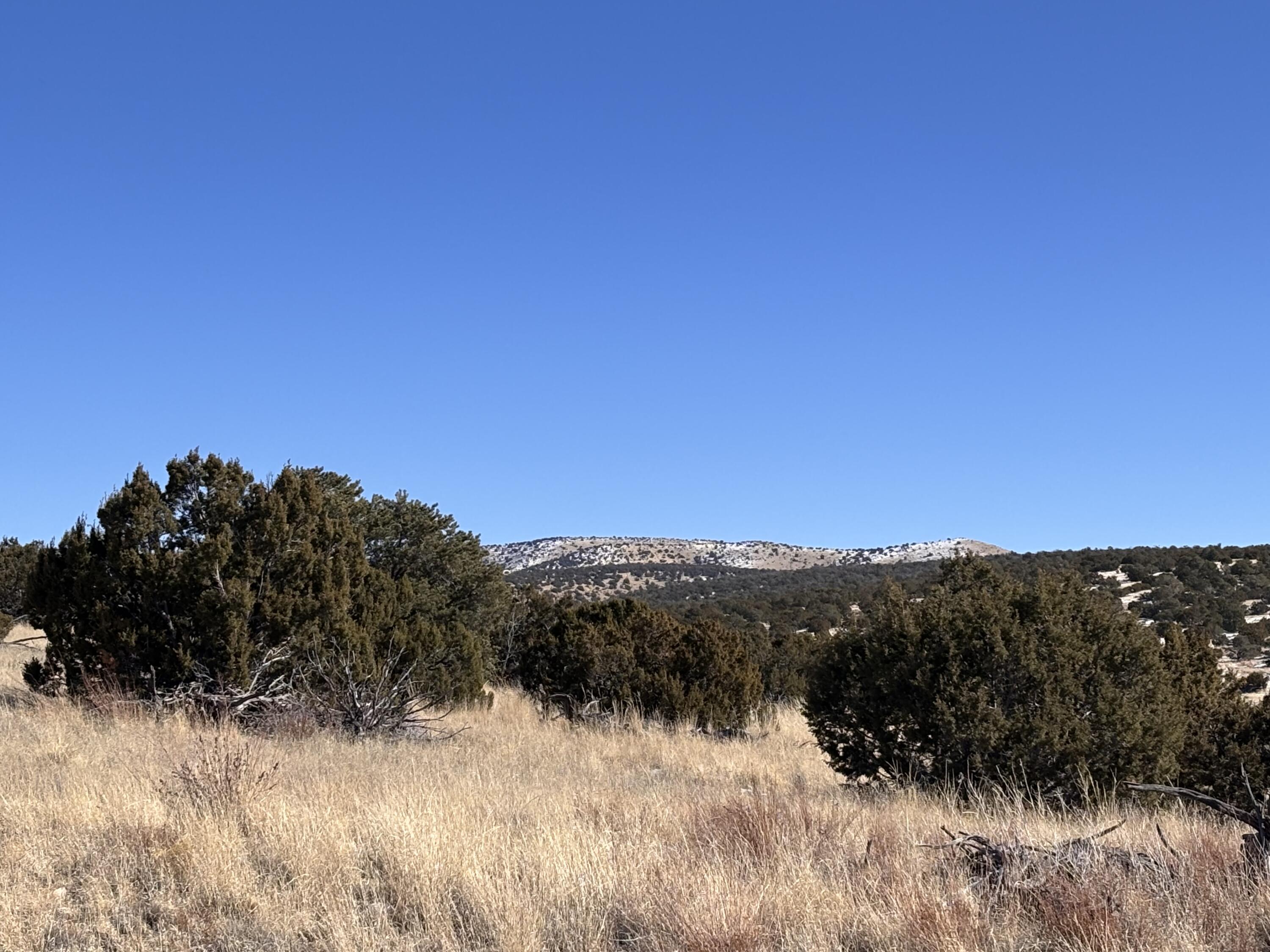 48 Pinon Springs