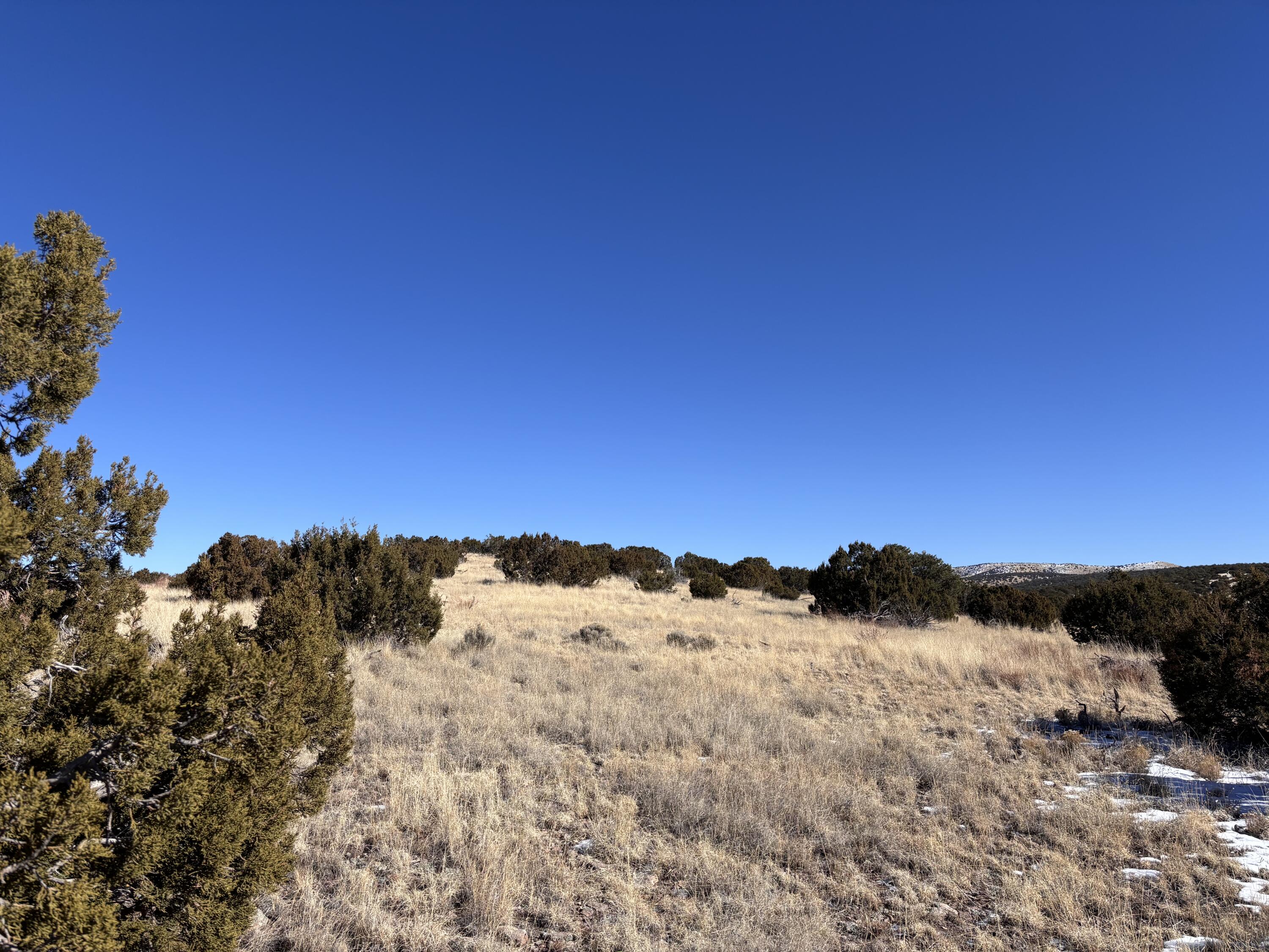 48 Pinon Springs