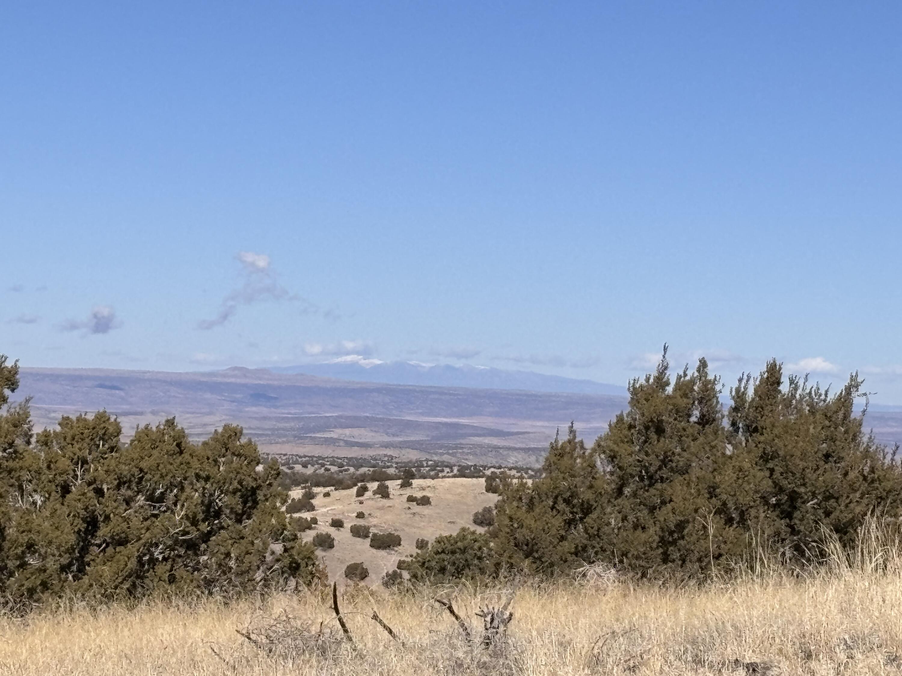 48 Pinon Springs