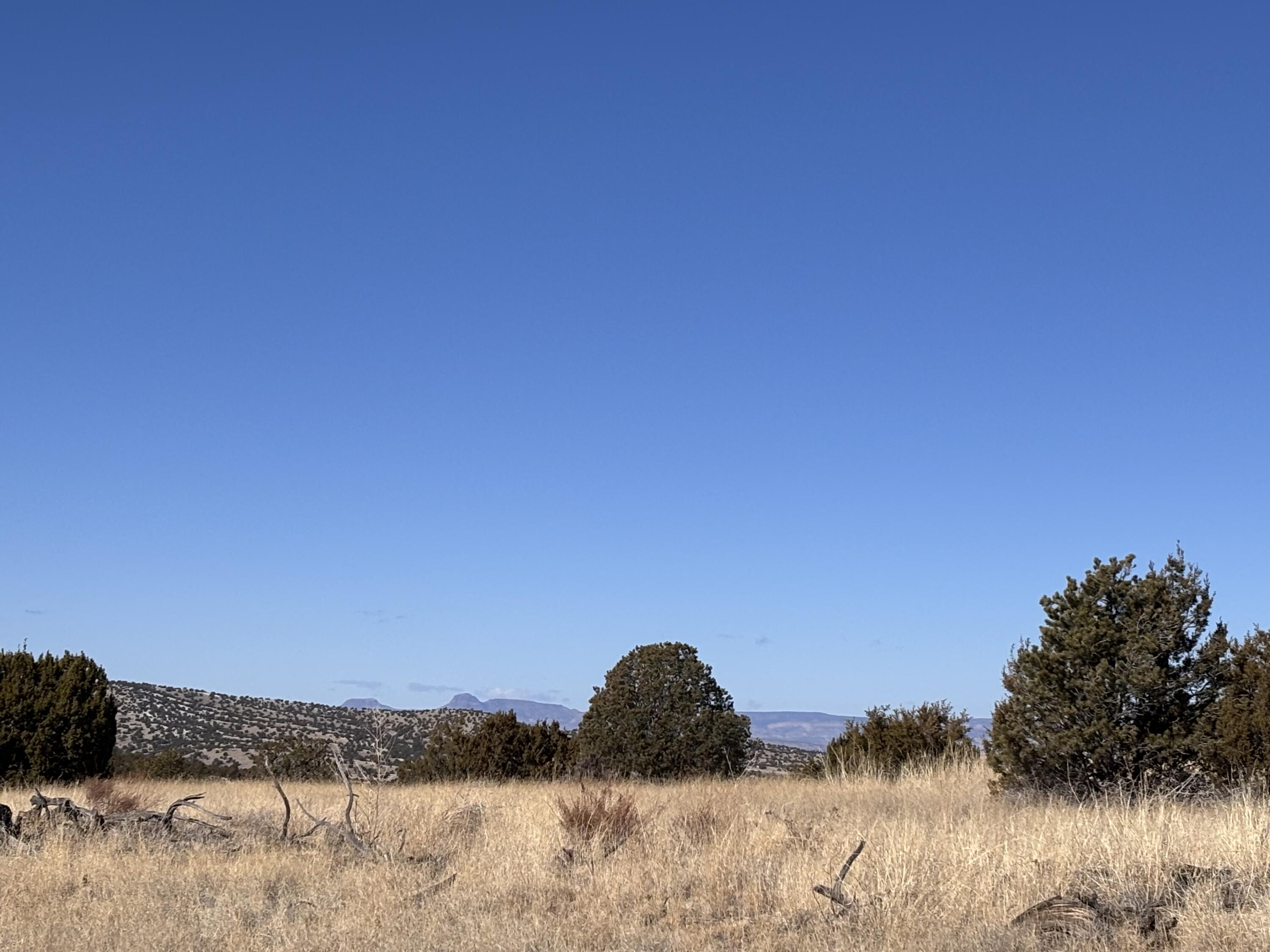 48 Pinon Springs