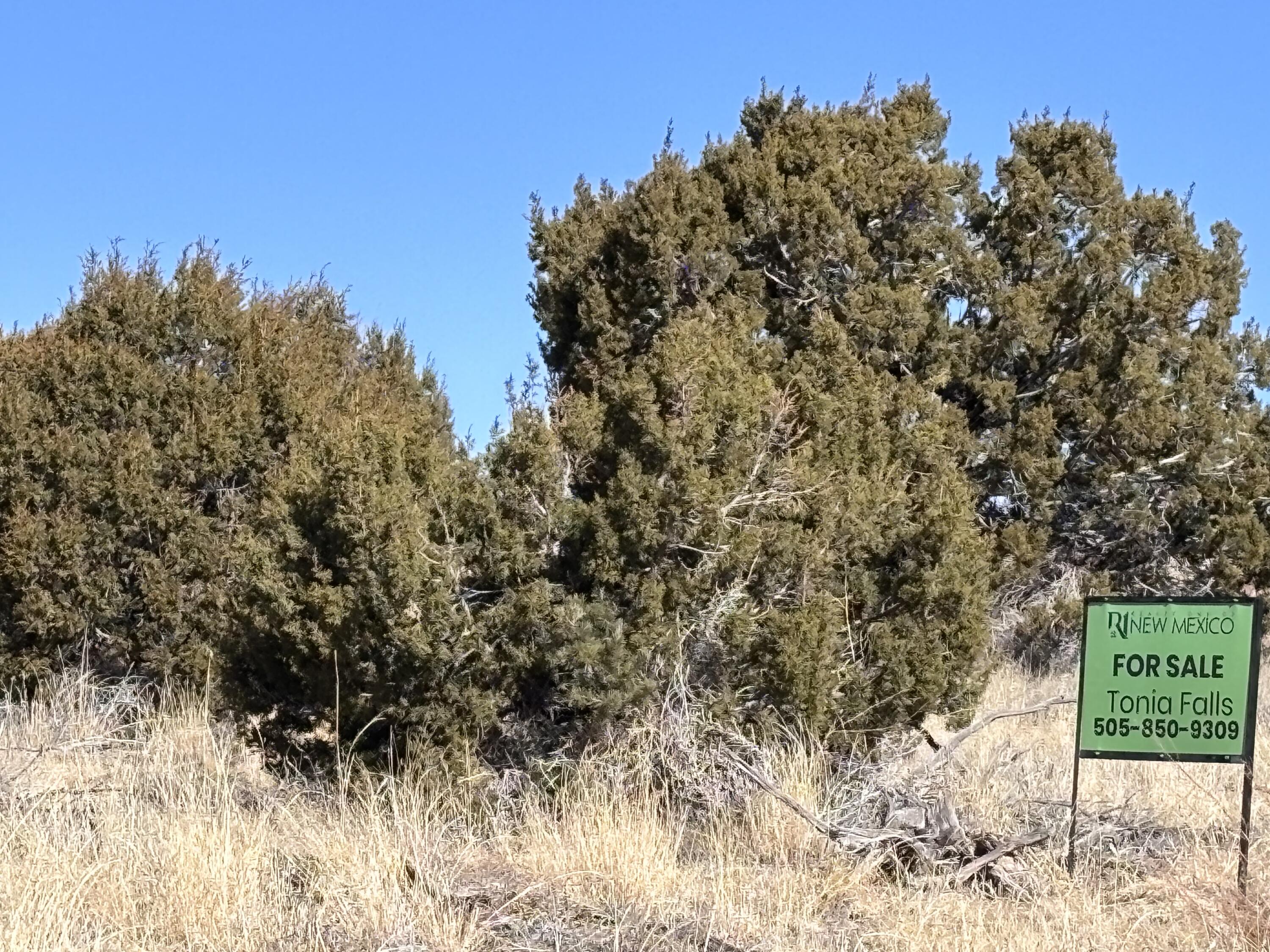 48 Pinon Springs