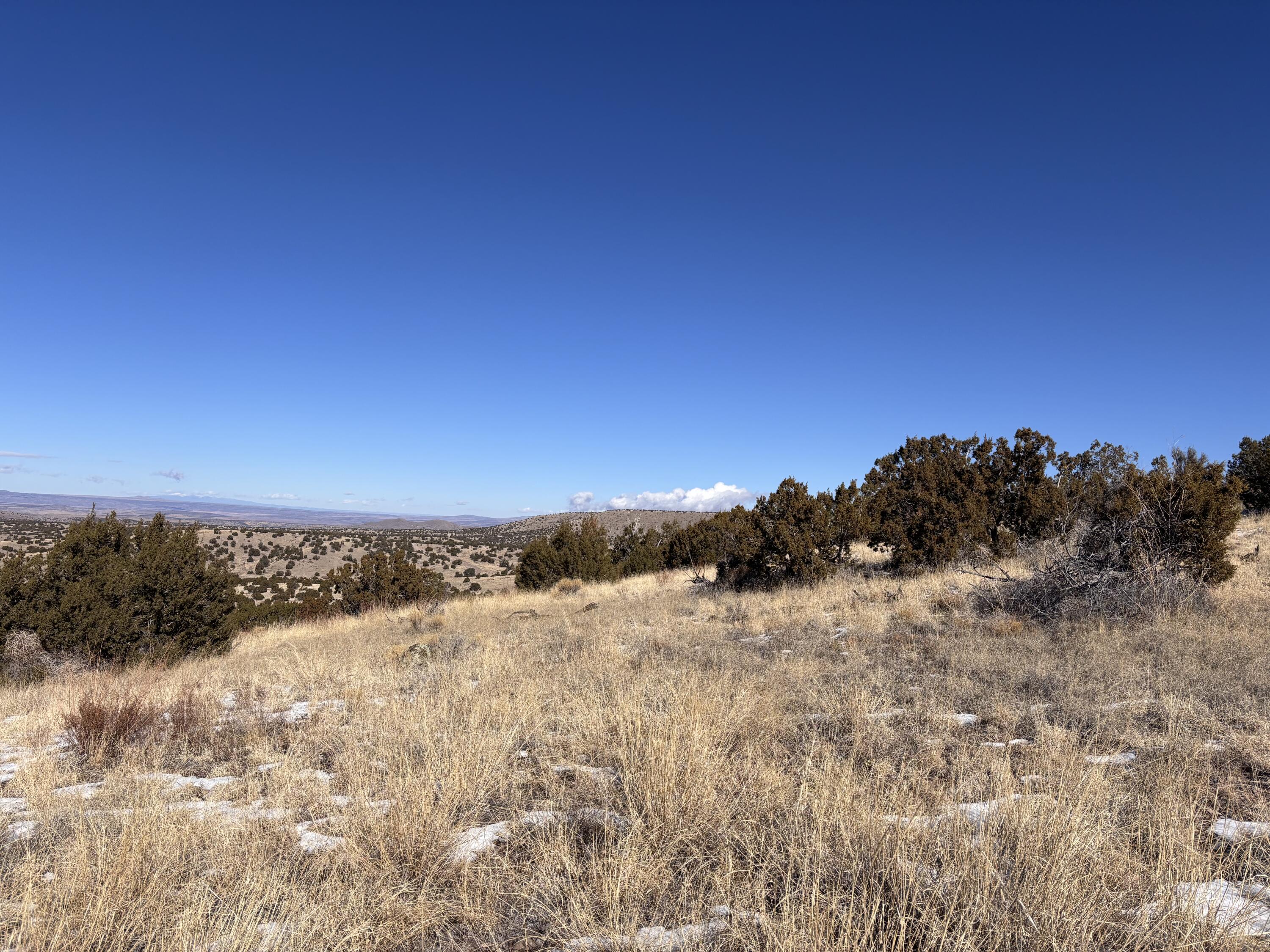 48 Pinon Springs