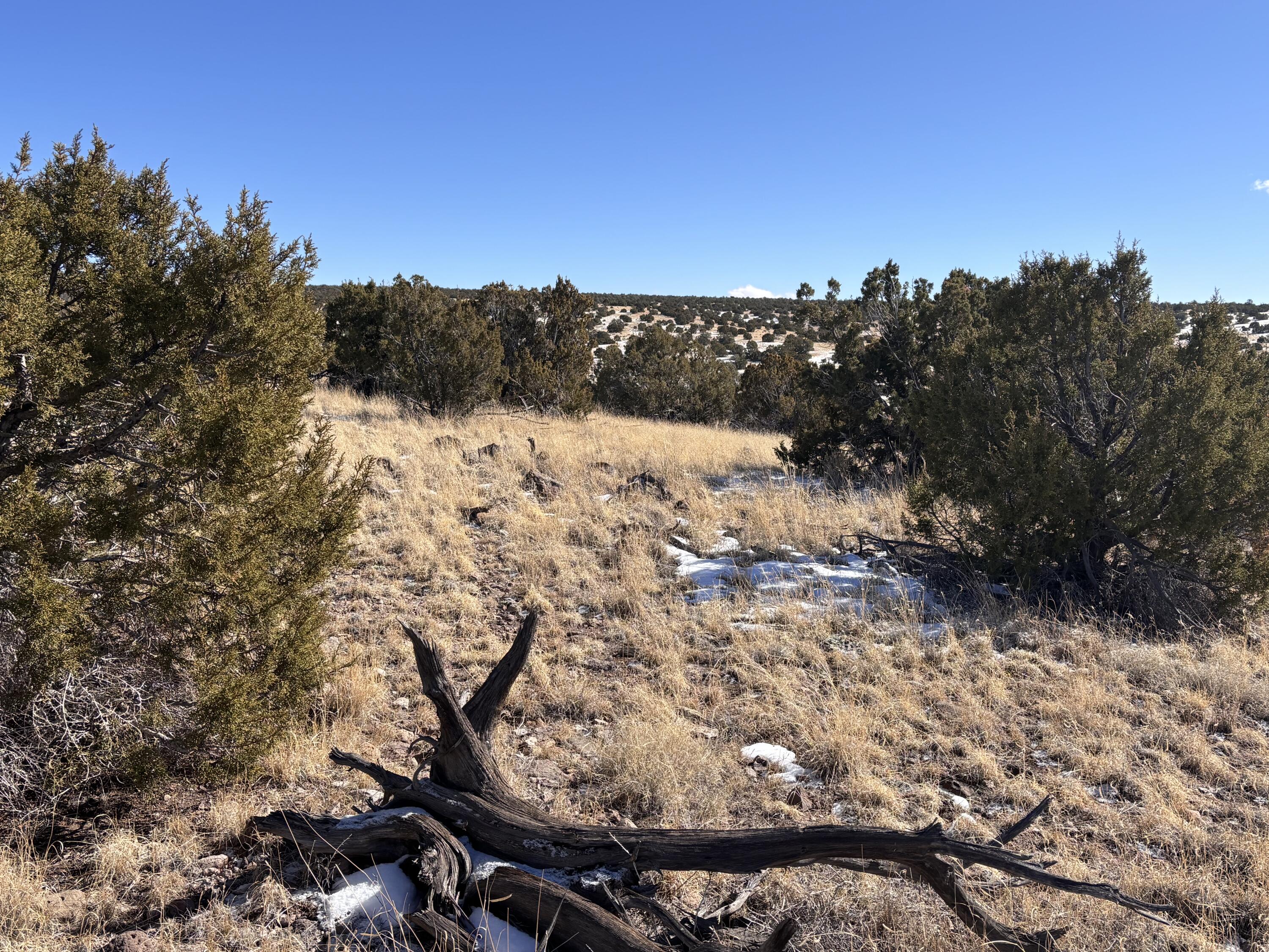 48 Pinon Springs