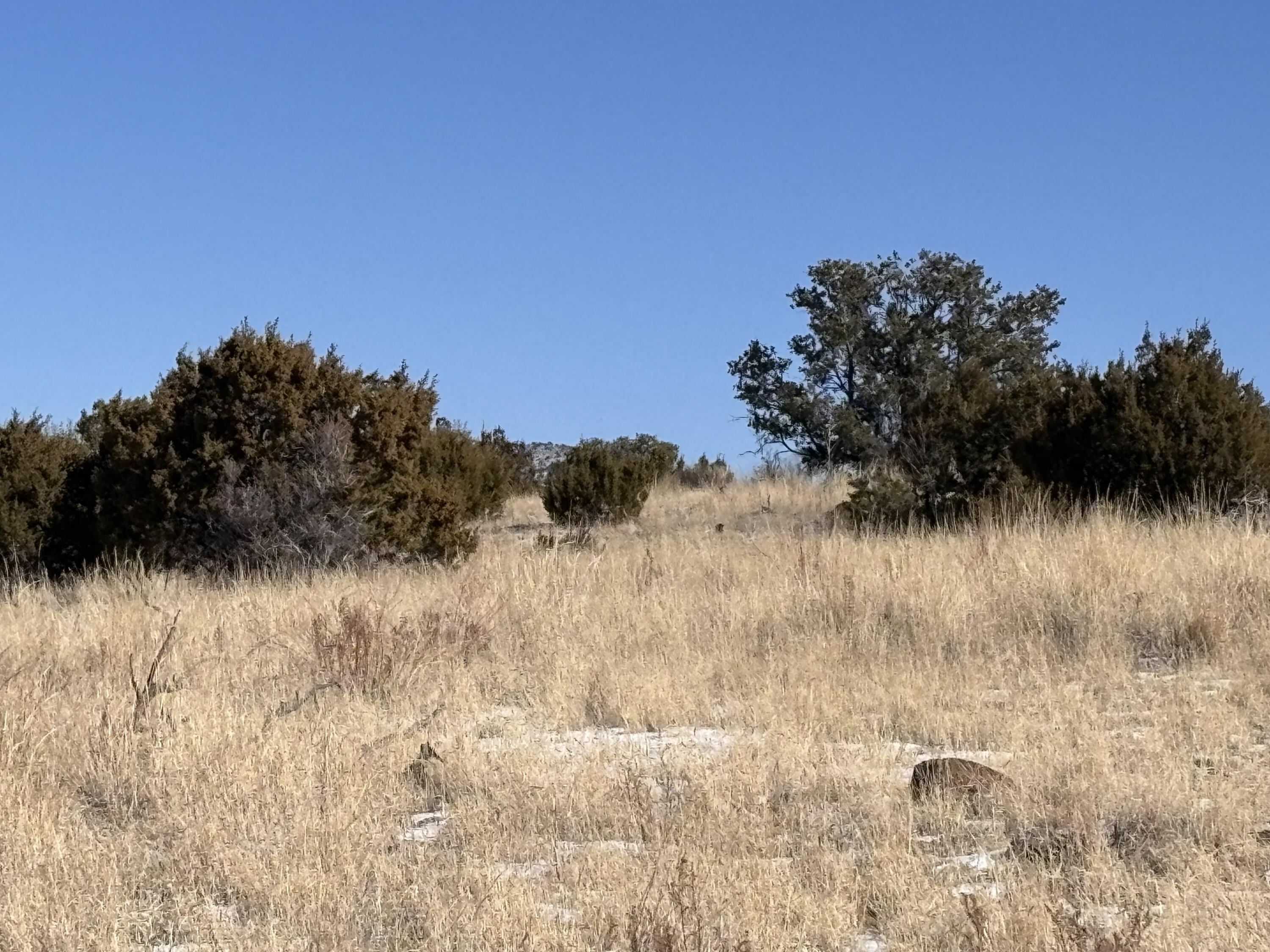 48 Pinon Springs