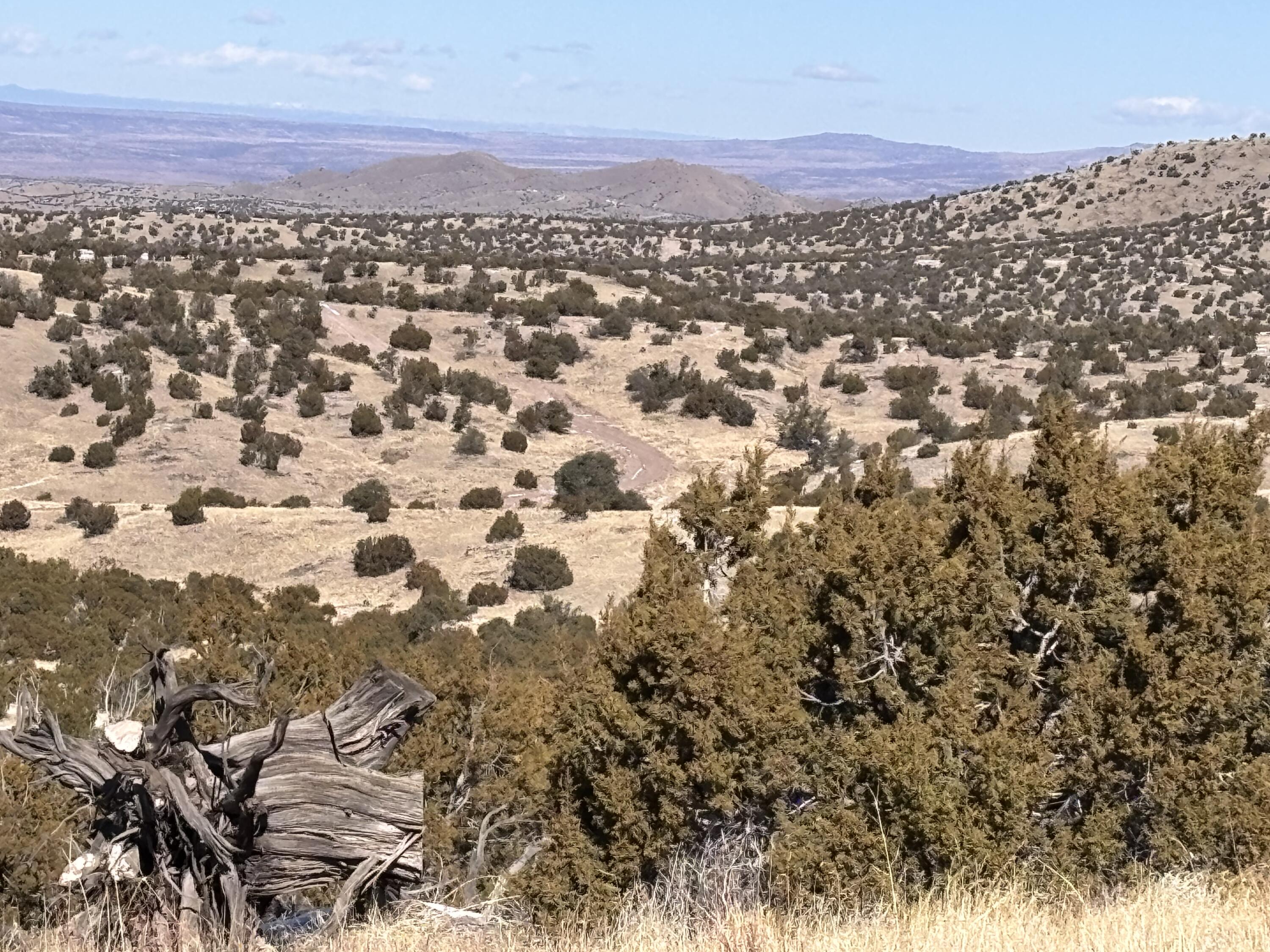48 Pinon Springs