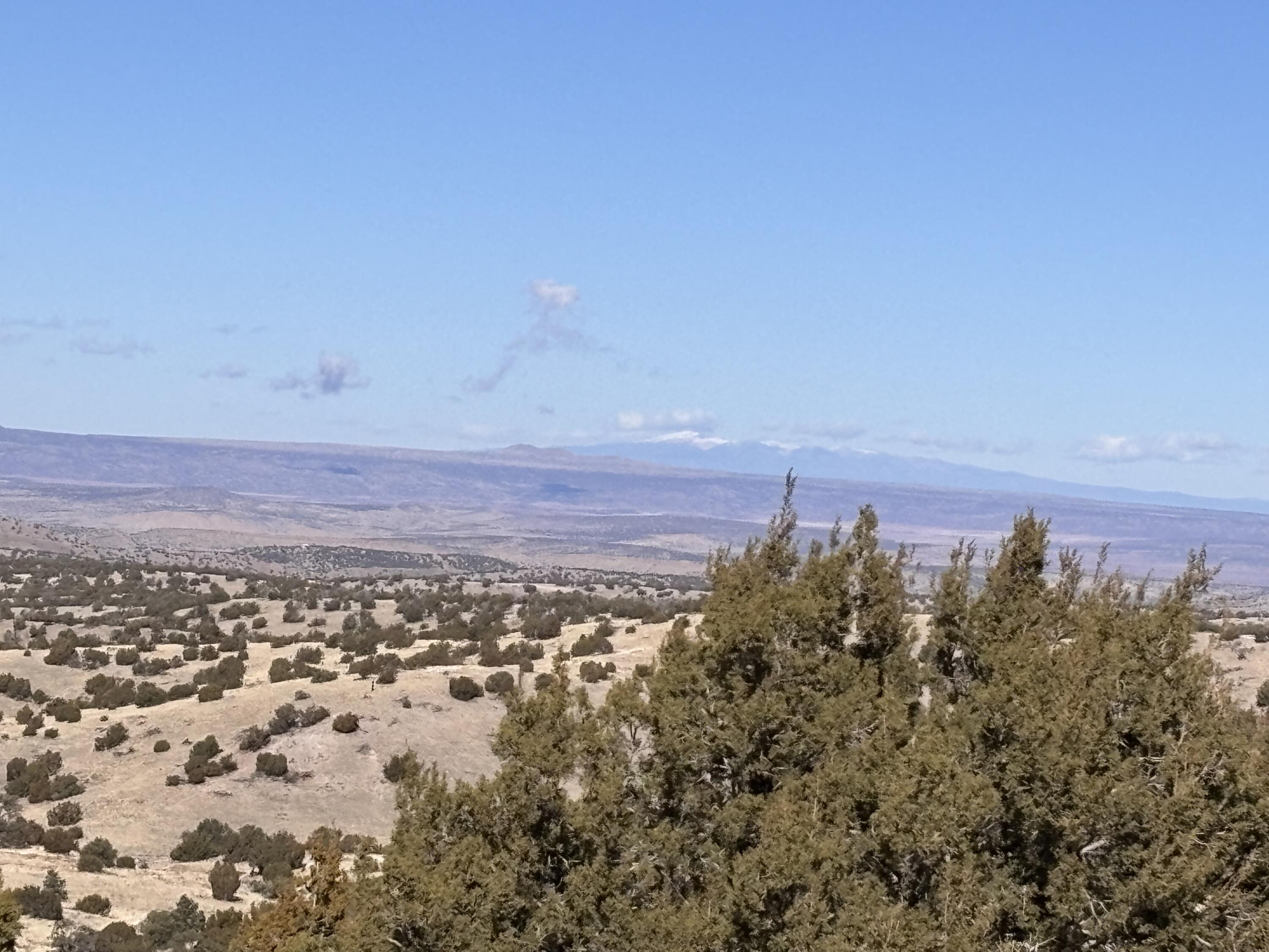 48 Pinon Springs