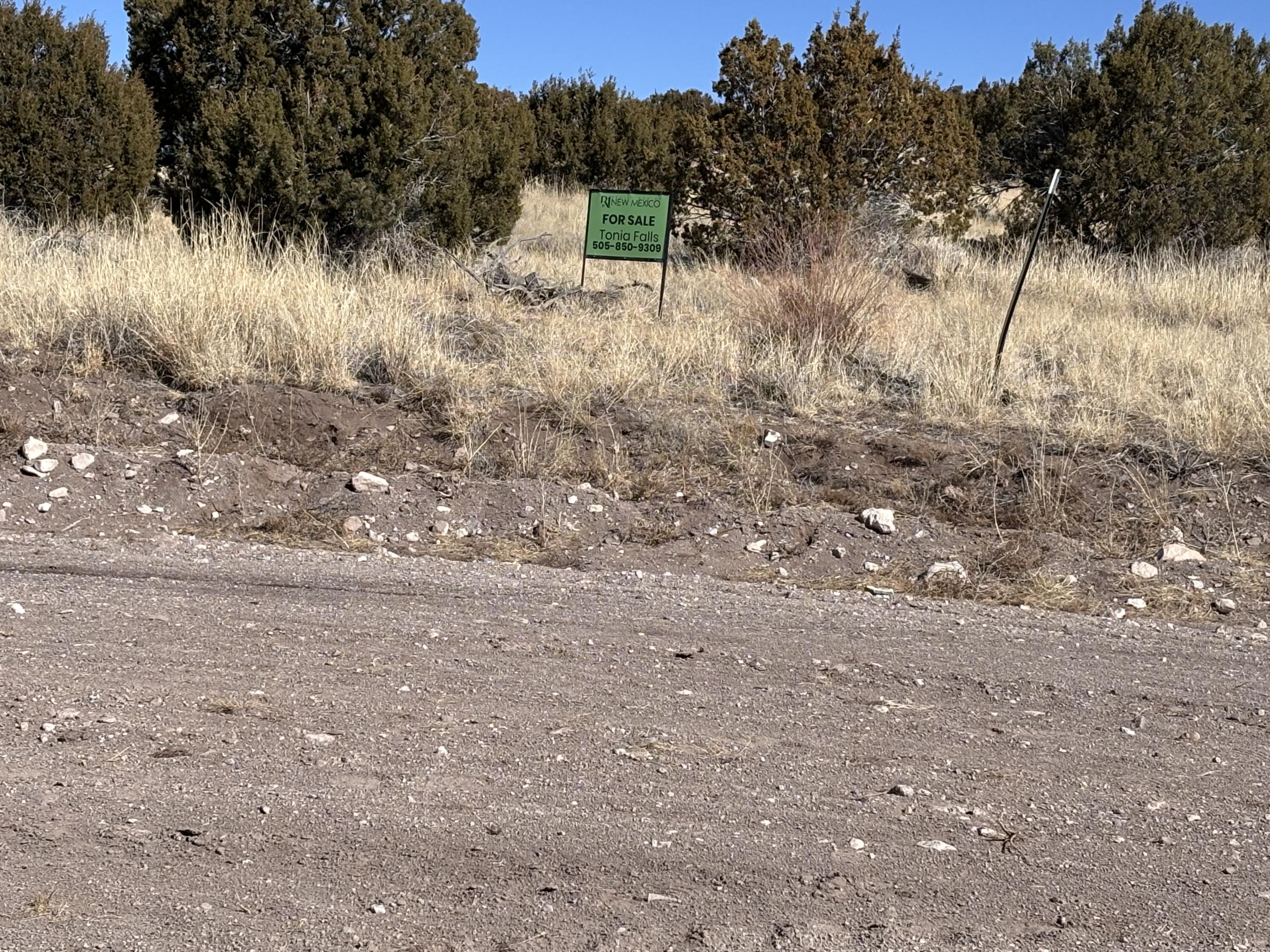 48 Pinon Springs