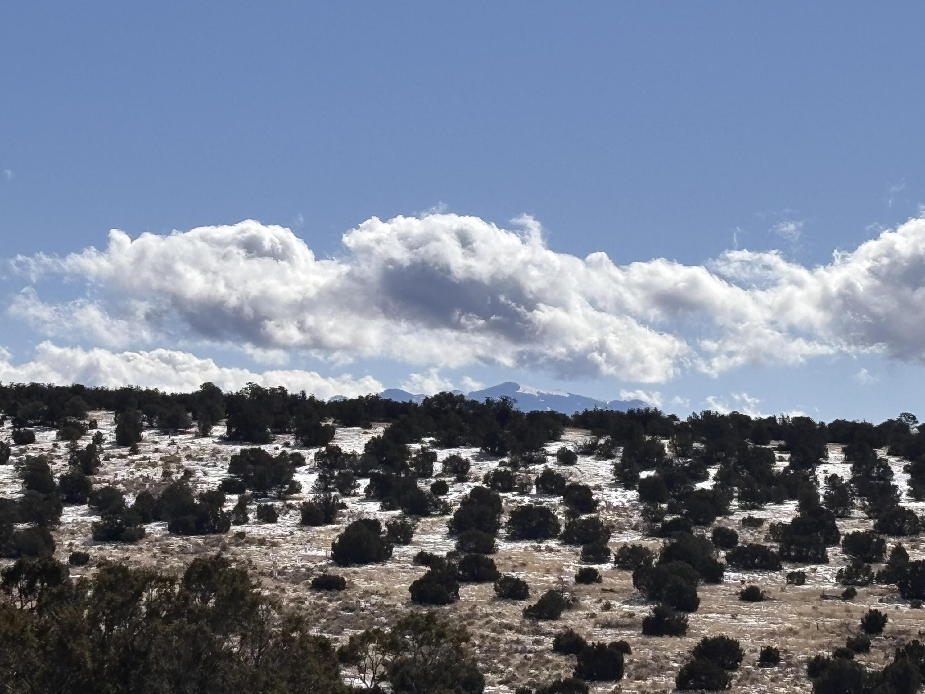 48 Pinon Springs
