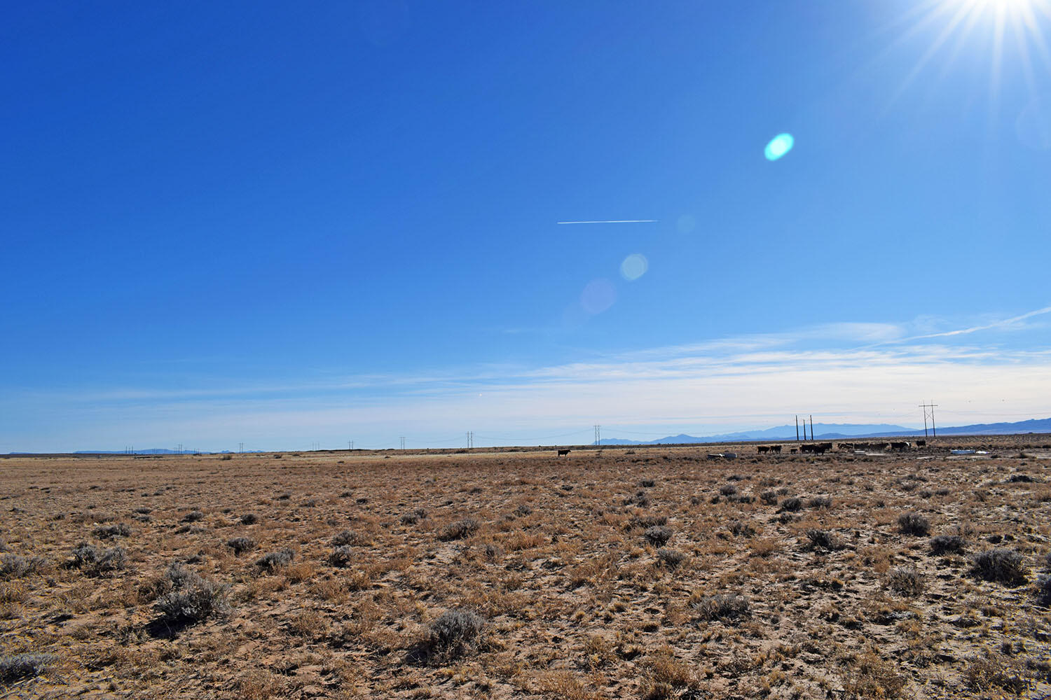 5 Lots Marble Quarry Road