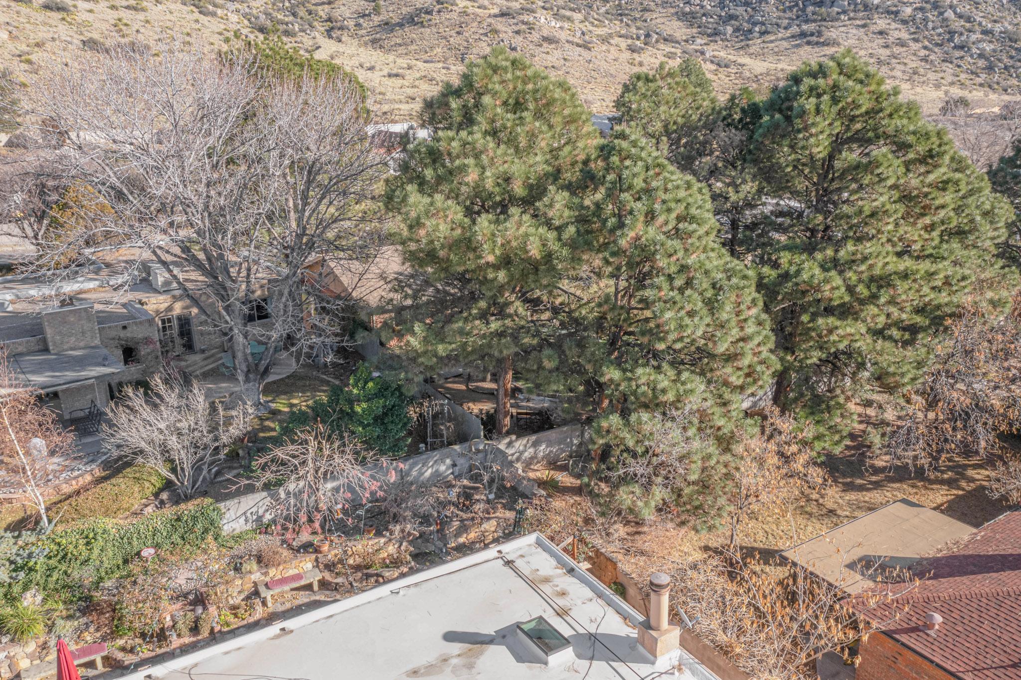 3801 CAMINO DE LA SIERRA Lane