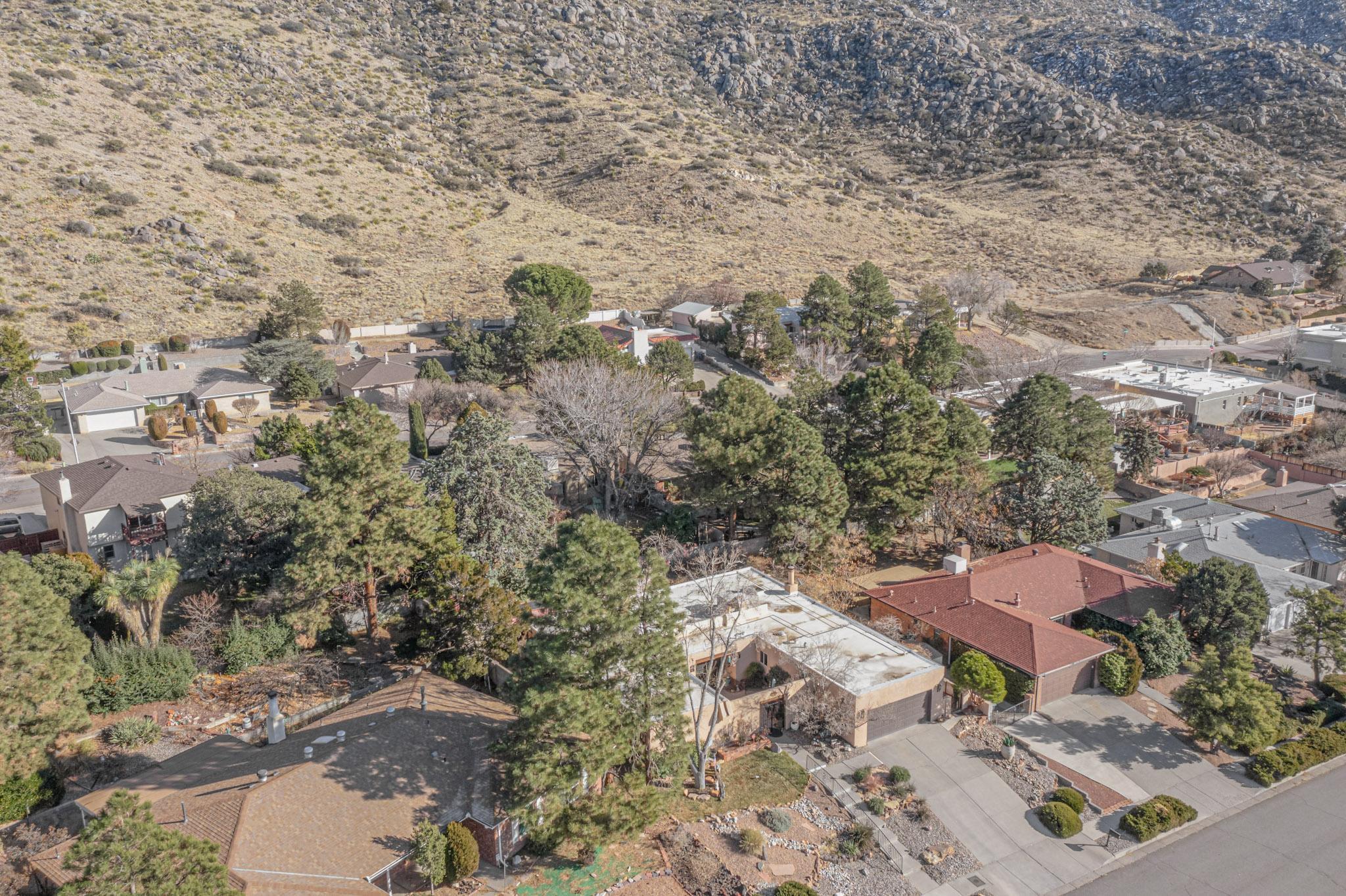 3801 CAMINO DE LA SIERRA Lane