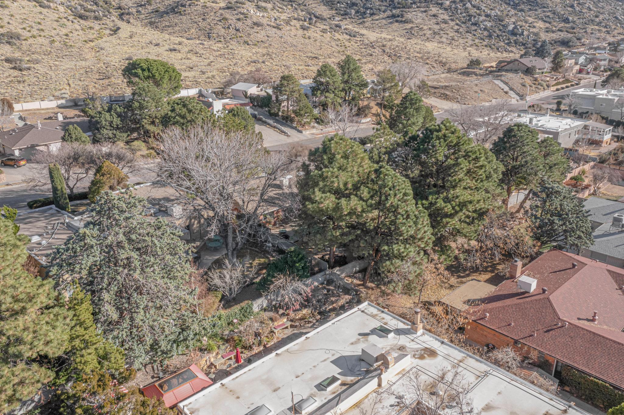 3801 CAMINO DE LA SIERRA Lane