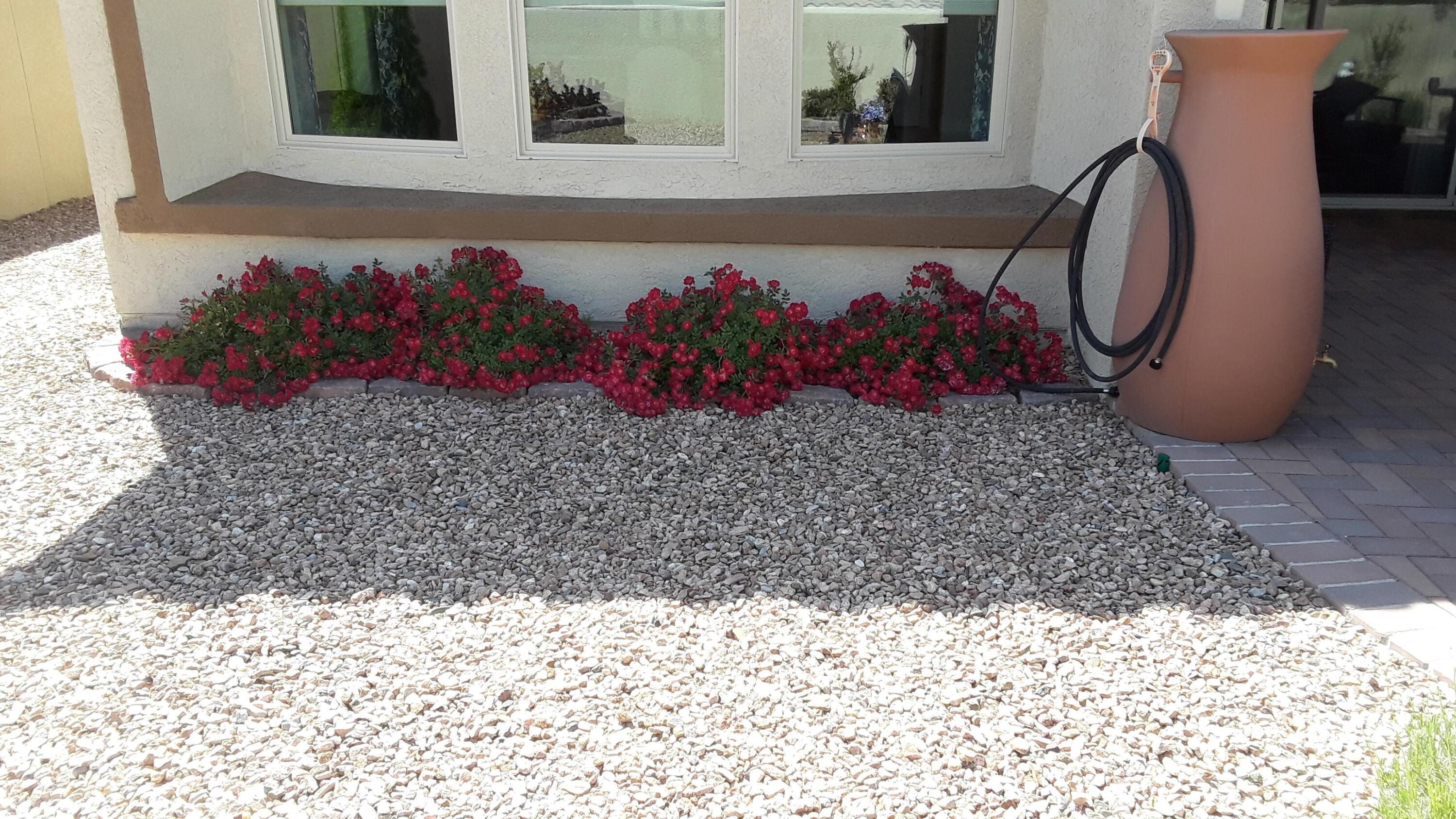 2128 GOOSE LAKE Trail NW