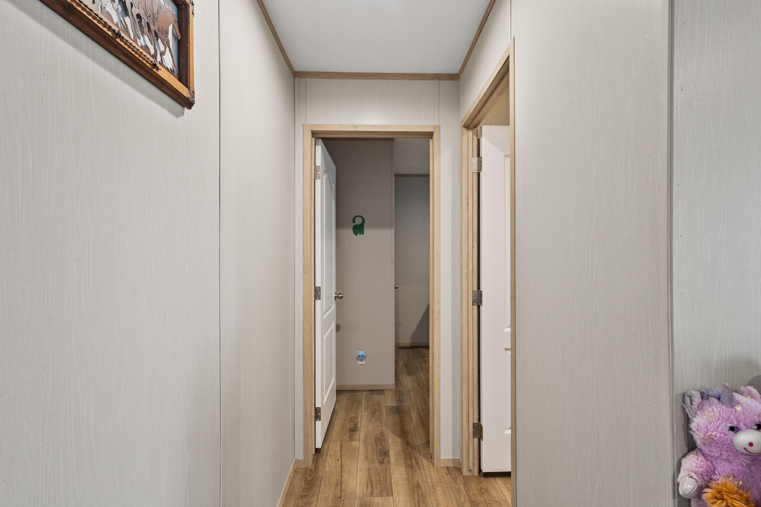 19 DAMA Road